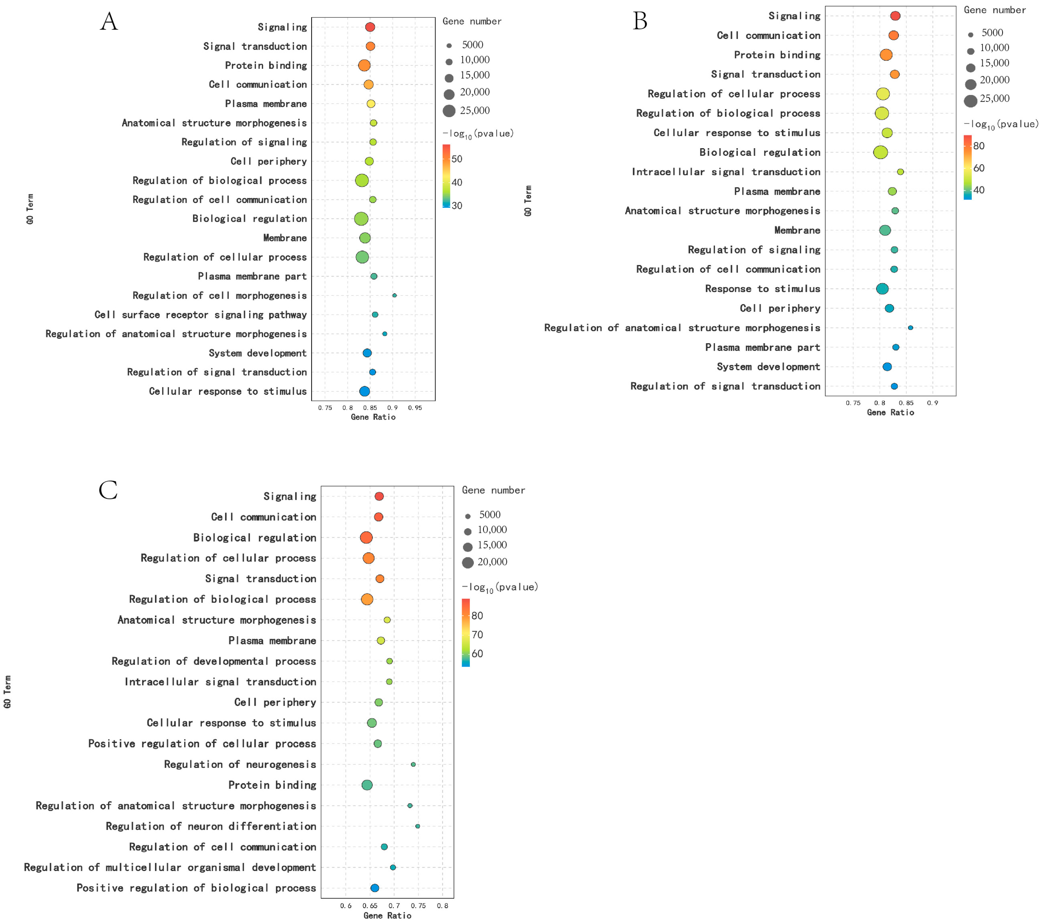 Animals 14 03258 g006