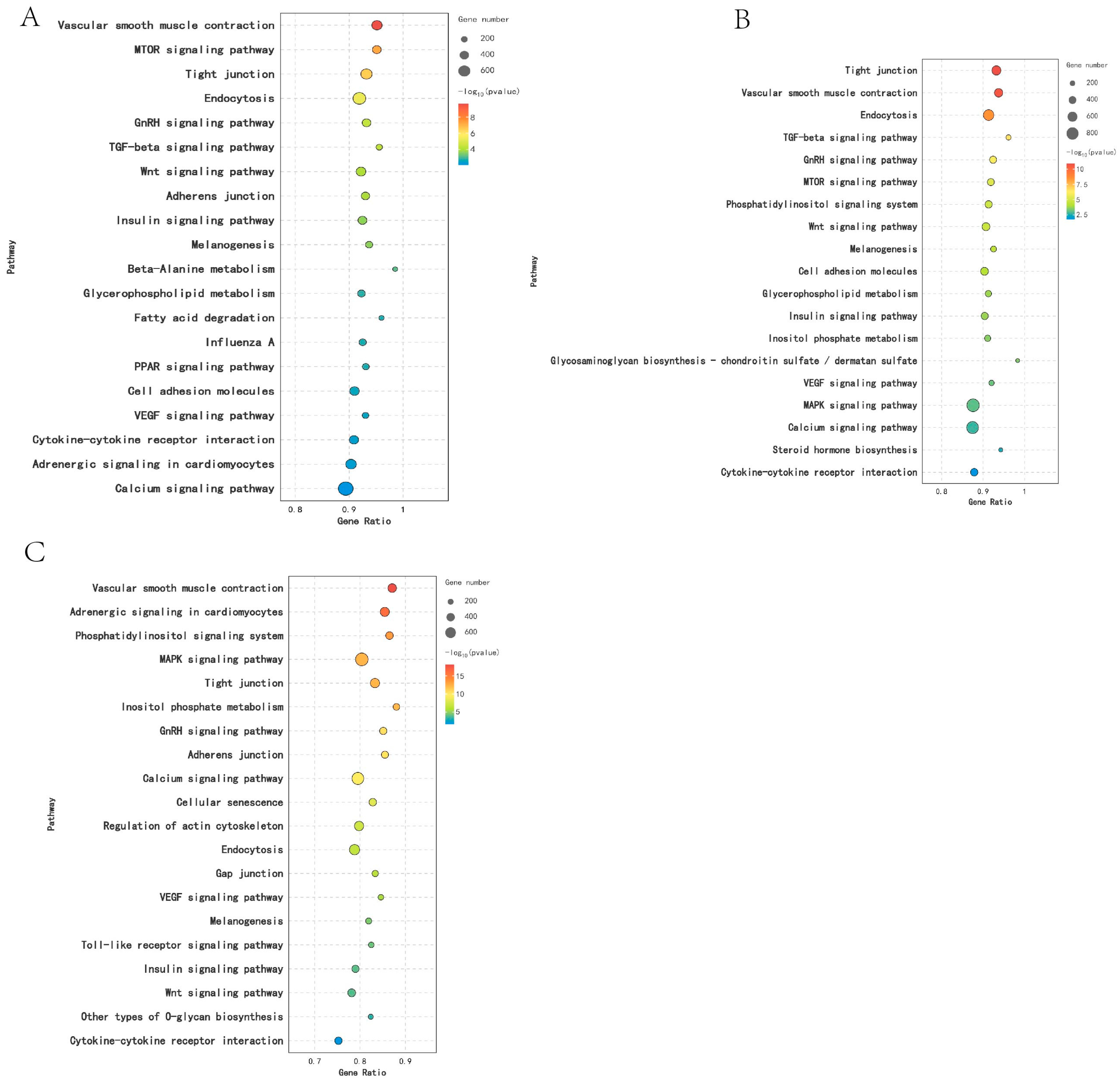Animals 14 03258 g007