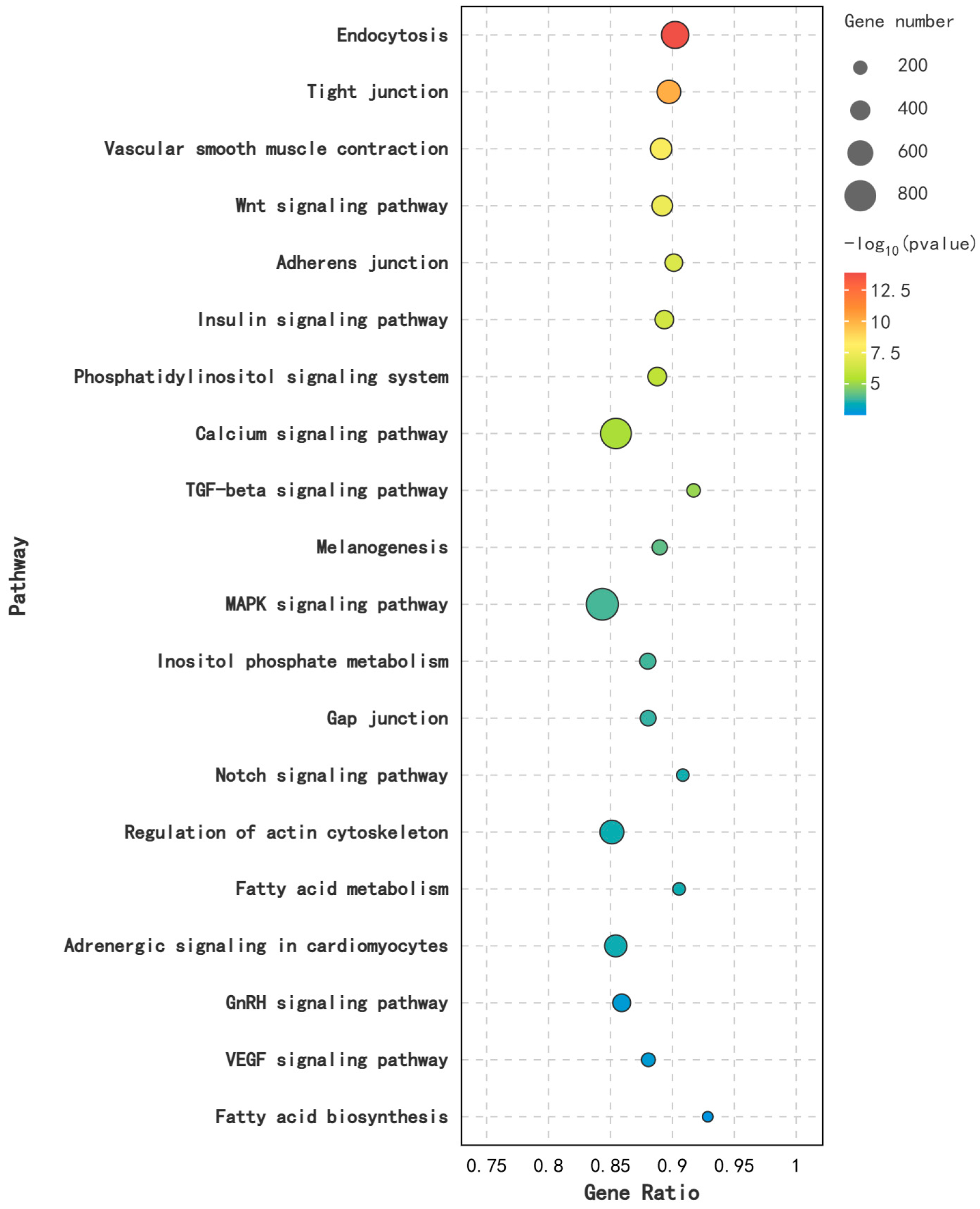 Animals 14 03258 g011