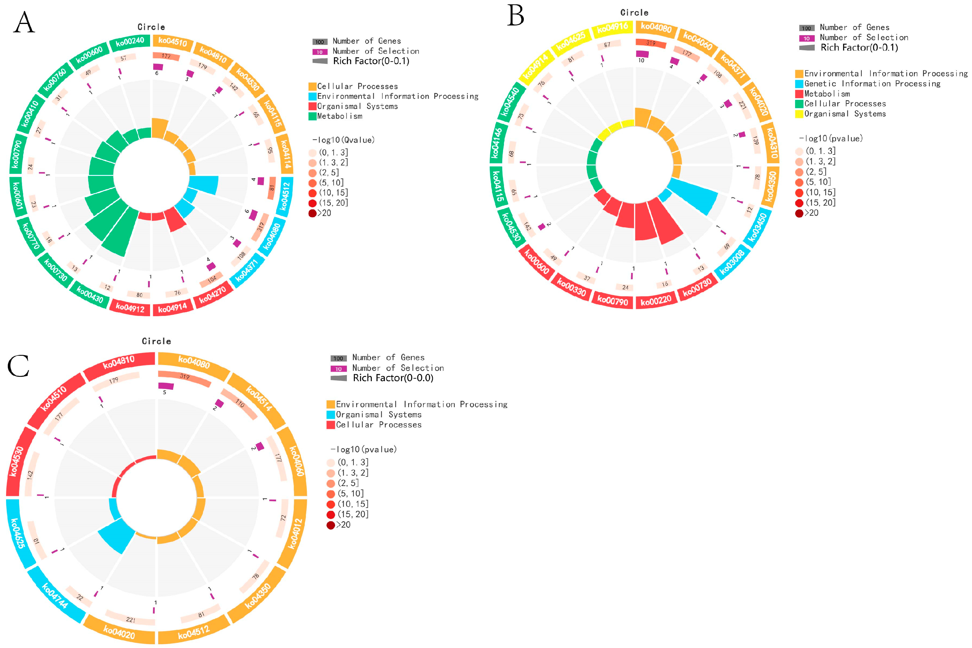Animals 14 03258 g014