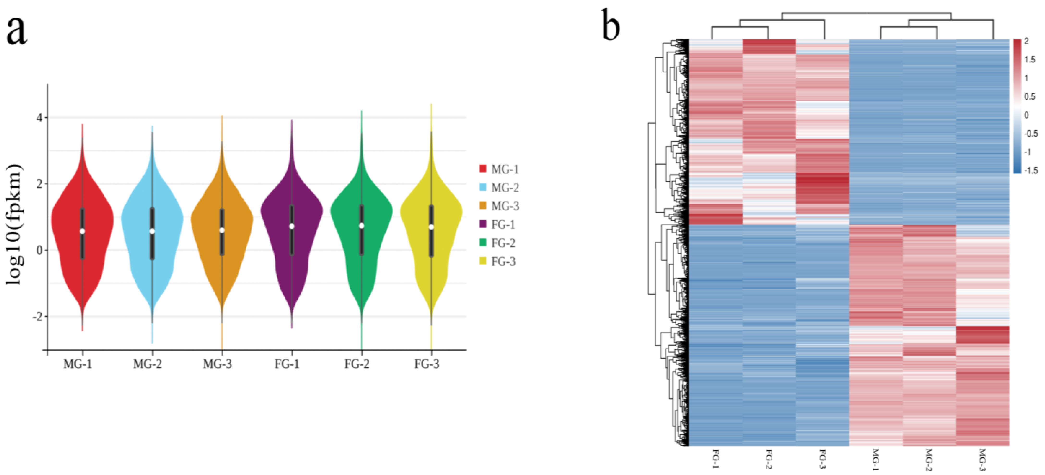 Animals 14 03261 g003