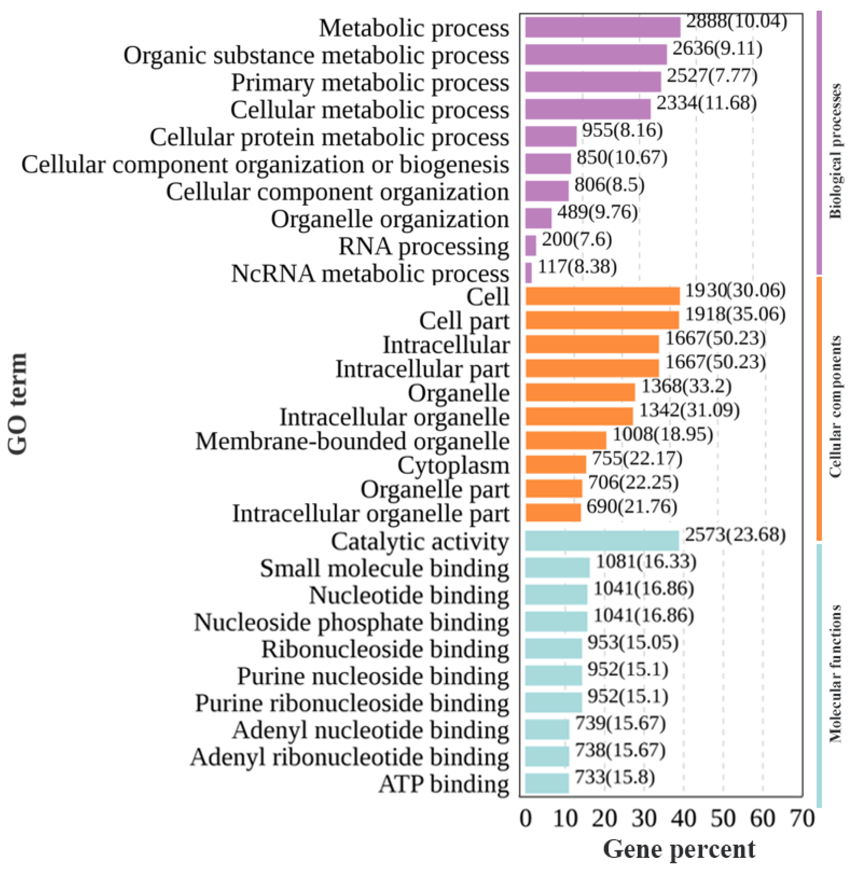 Animals 14 03261 g004