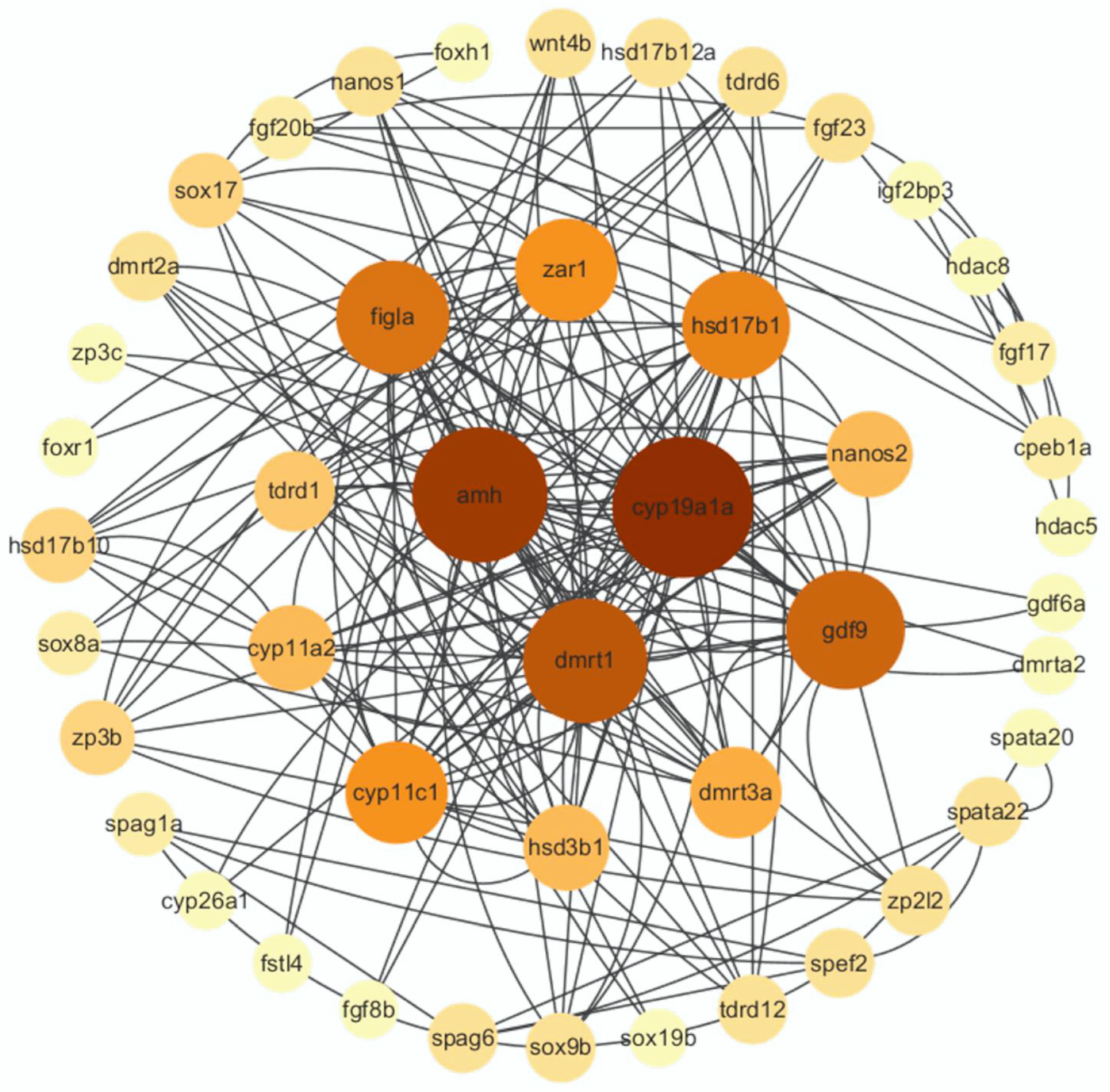 Animals 14 03261 g007