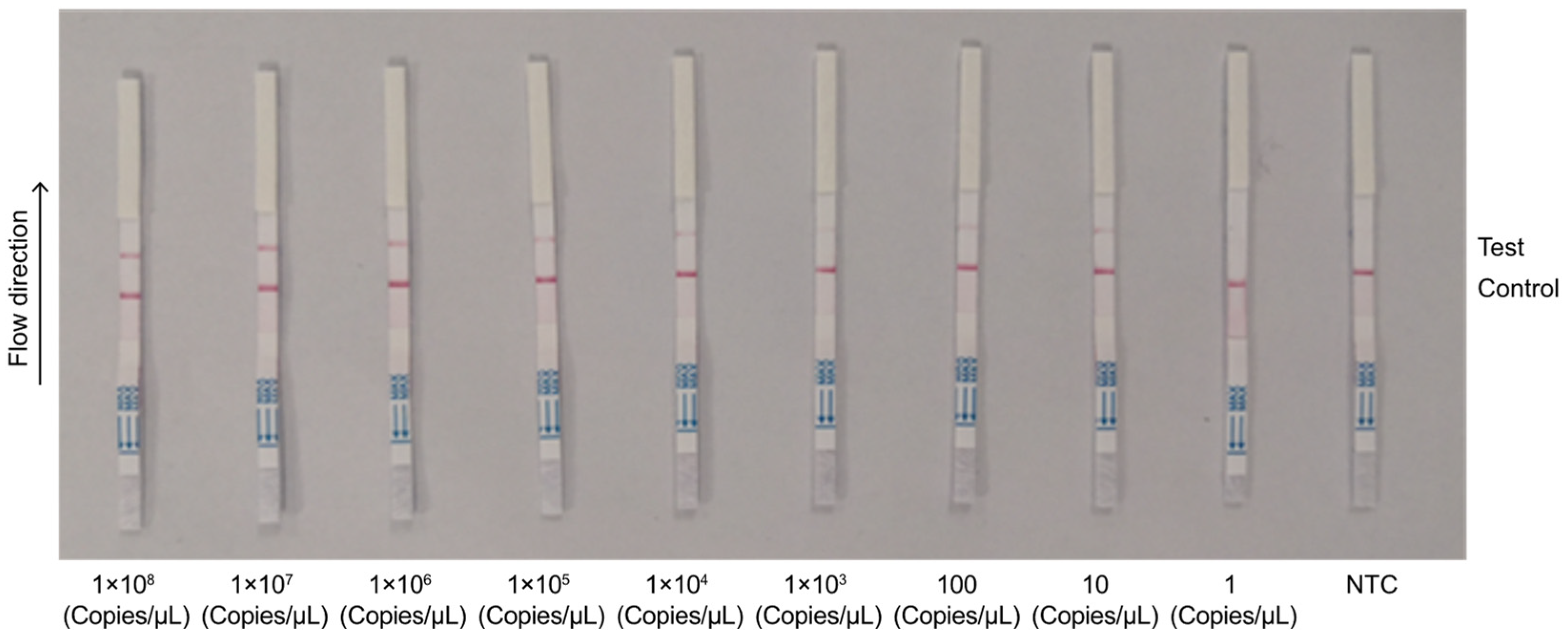 Animals 14 03262 g006