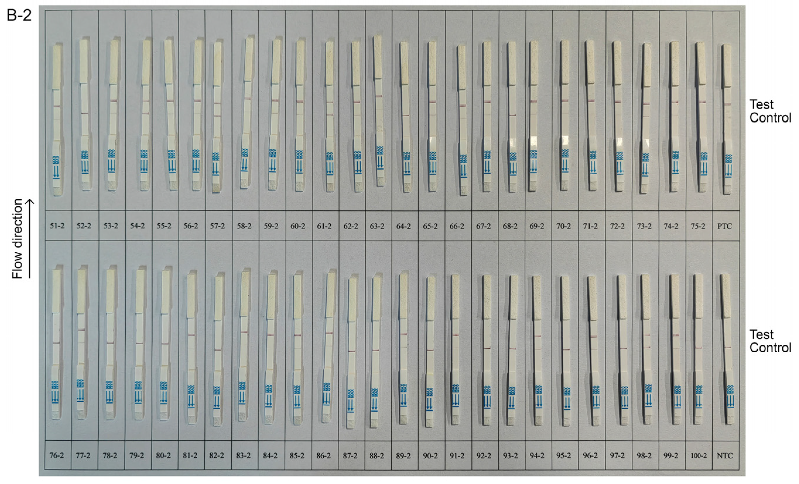 Animals 14 03262 g009b