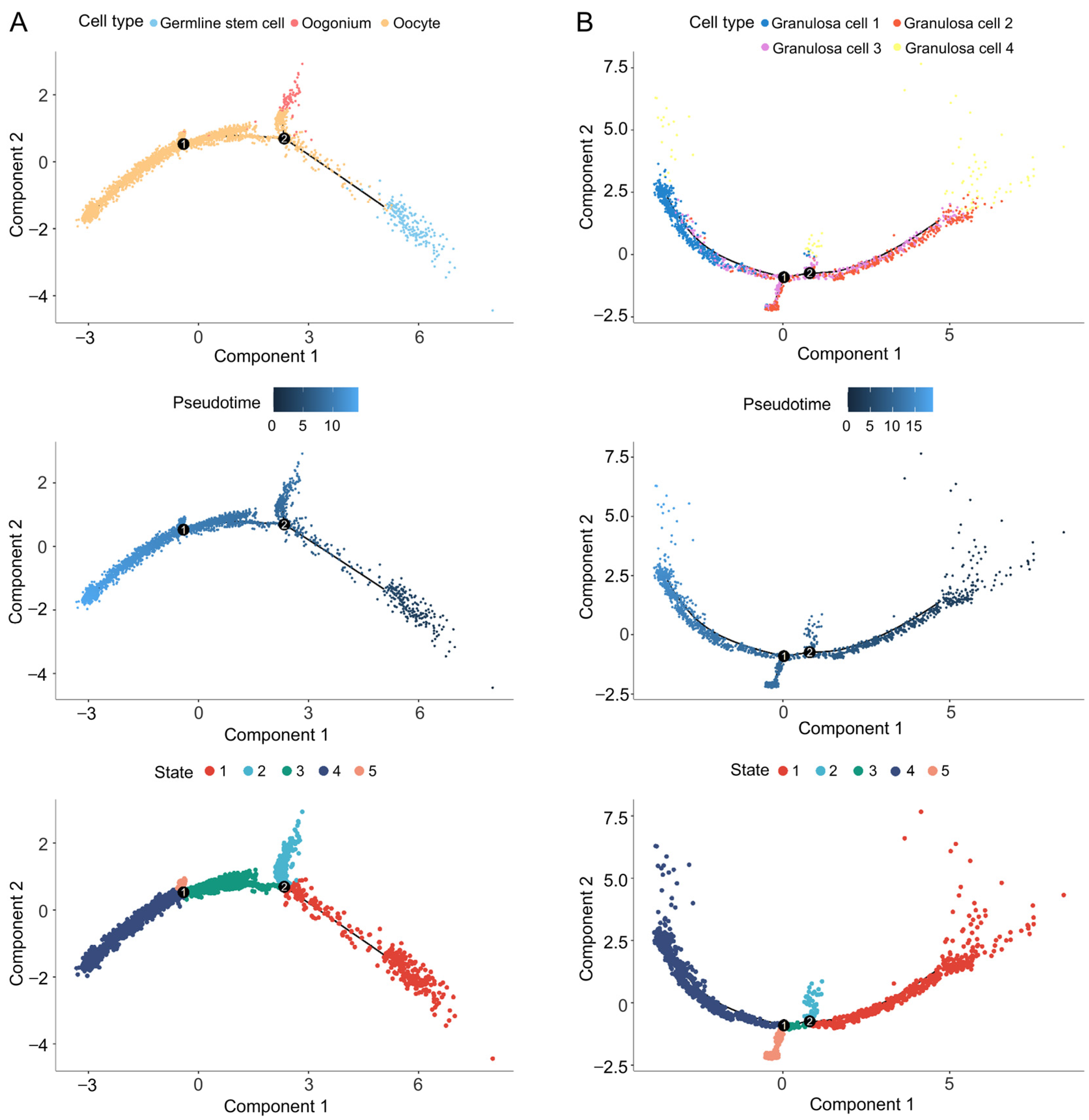 Animals 14 03263 g002