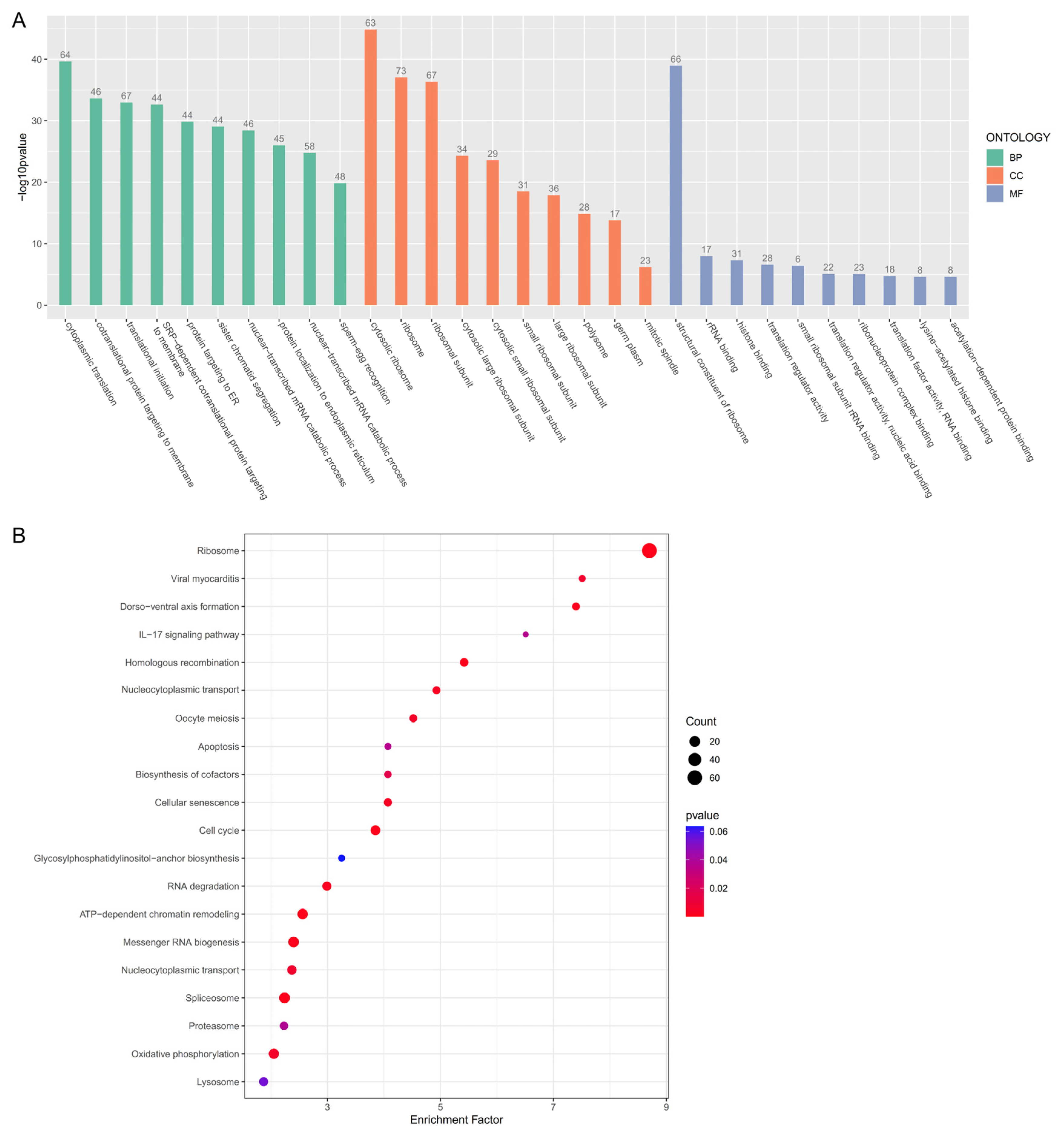 Animals 14 03263 g003