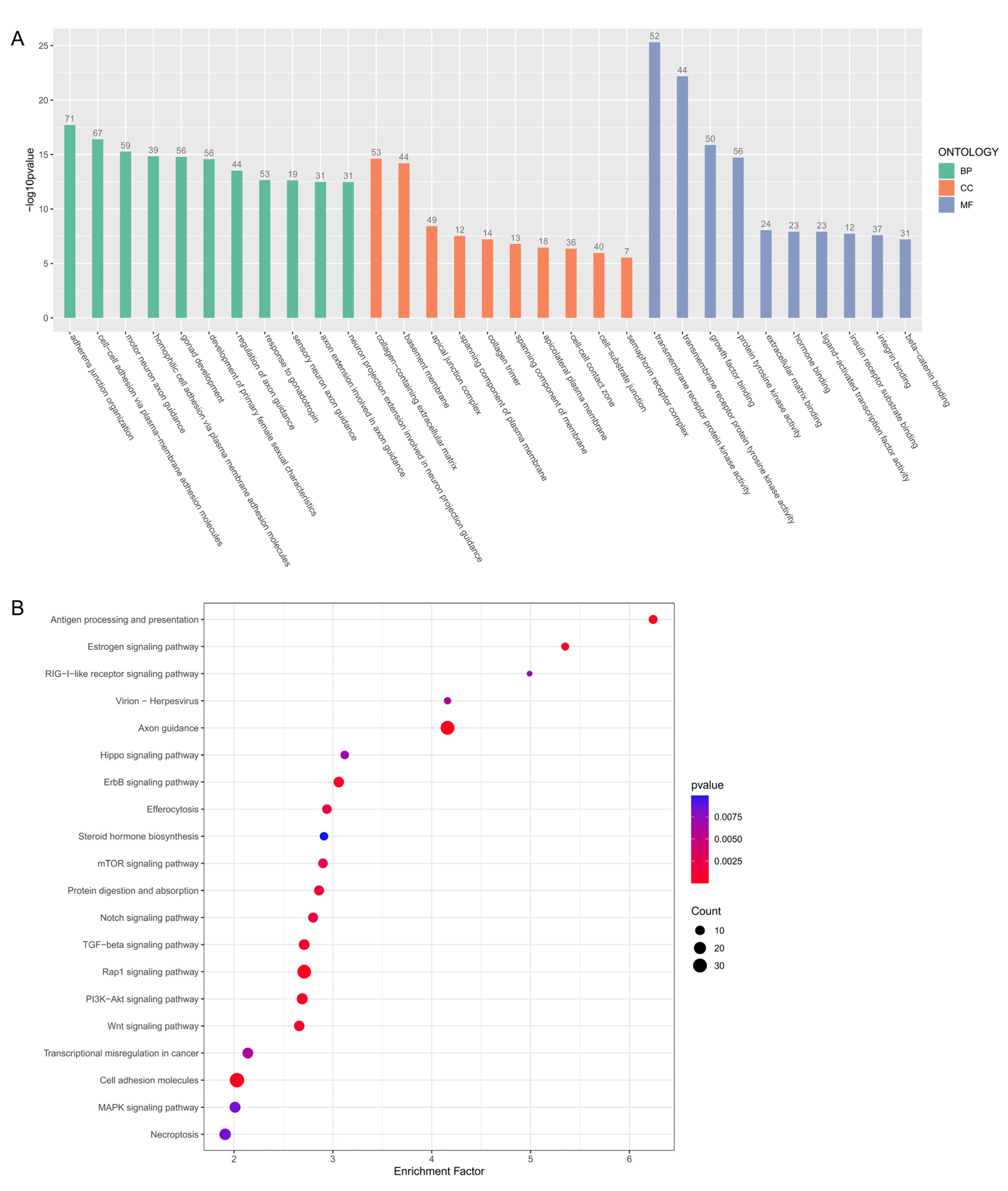 Animals 14 03263 g004