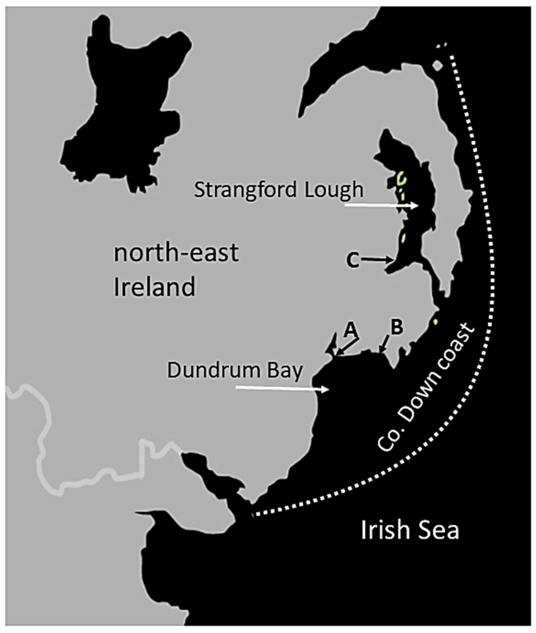 Animals 14 03264 g001