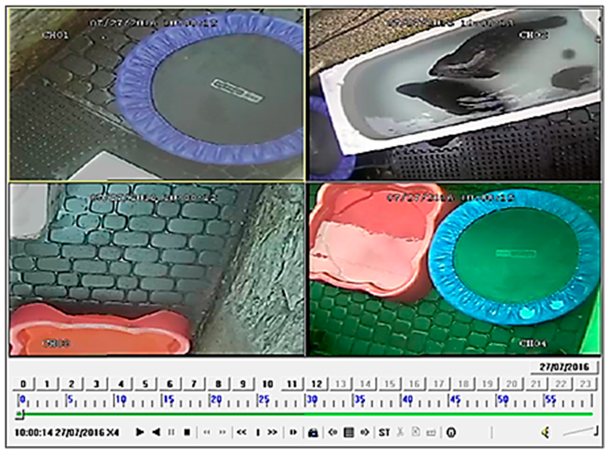 Animals 14 03264 g002