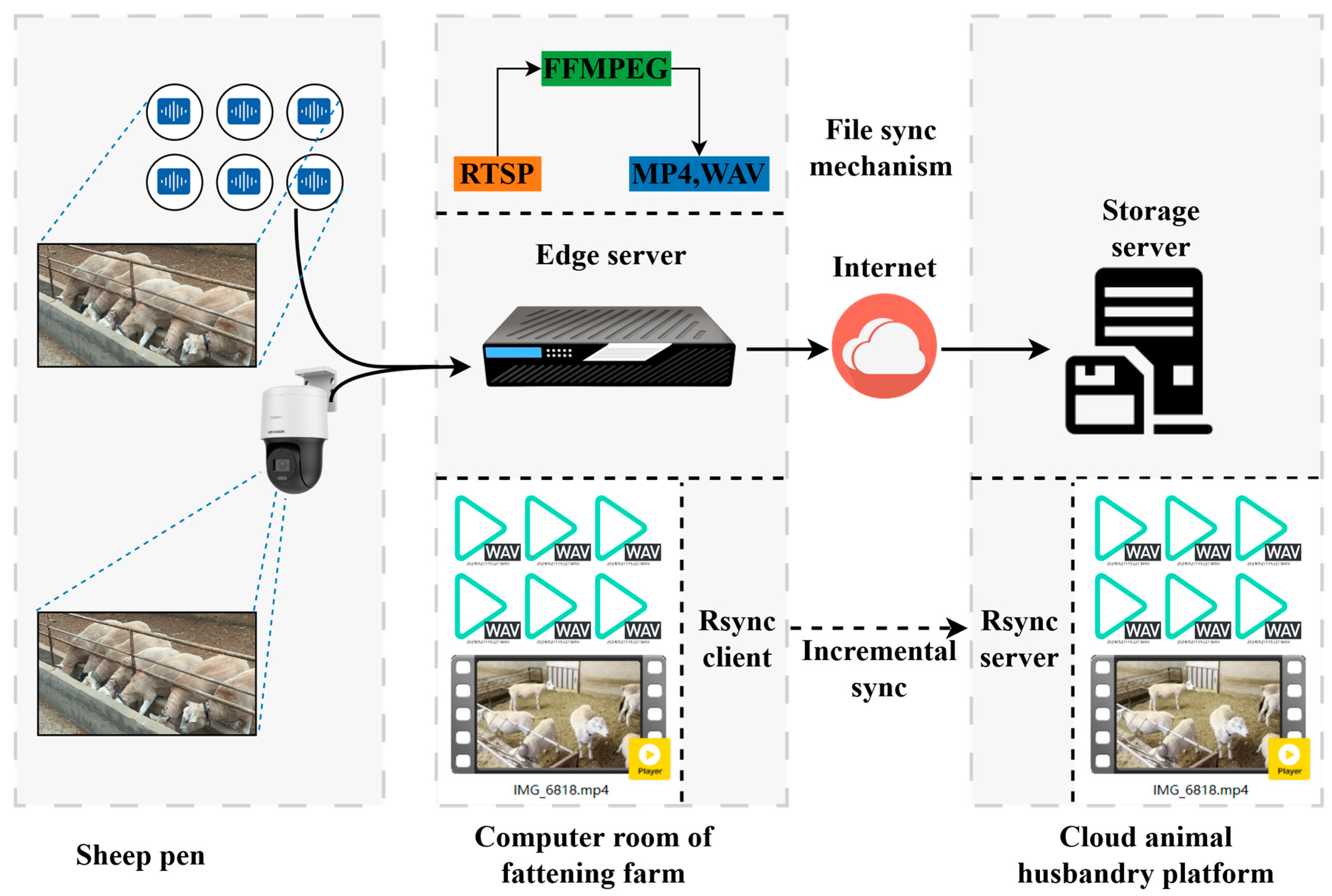 Animals 14 03267 g003