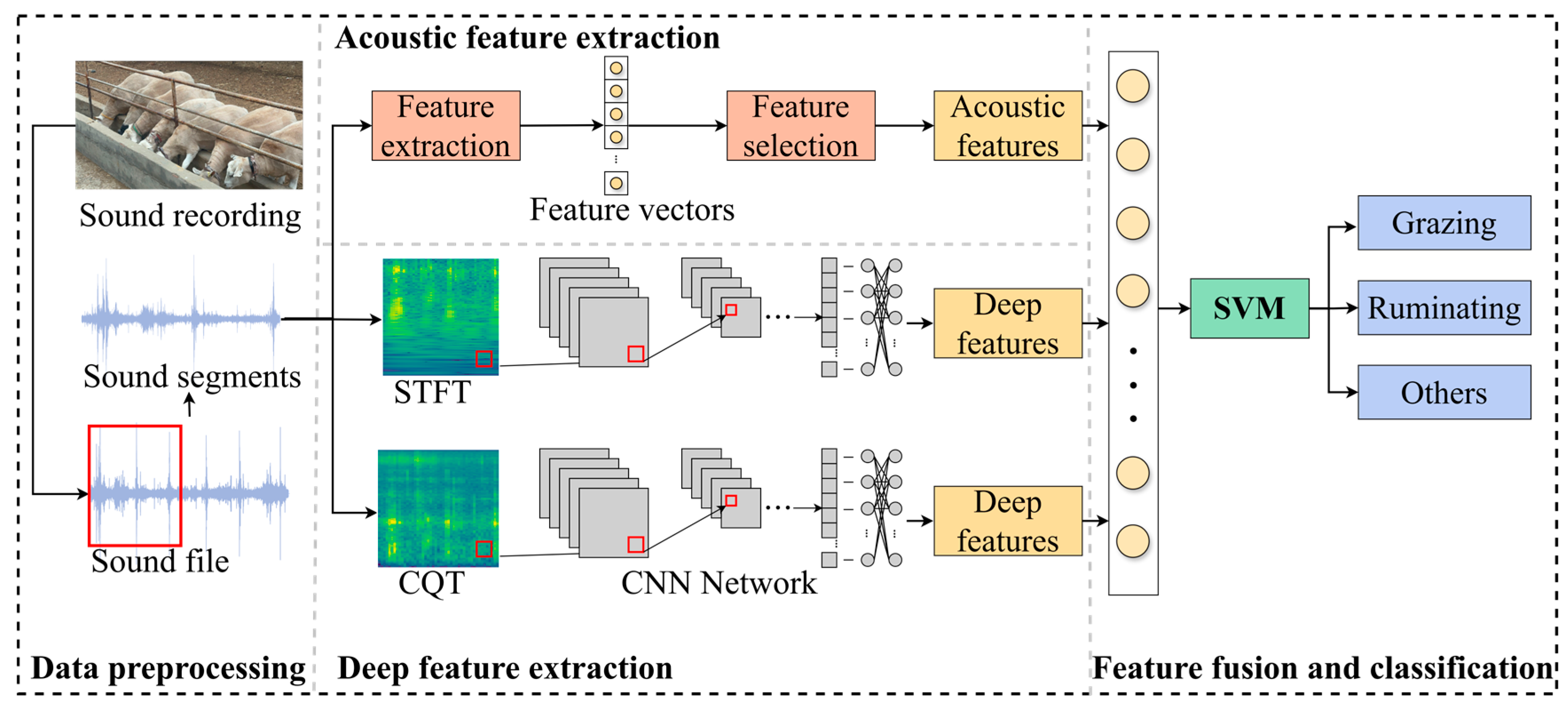 Animals 14 03267 g005