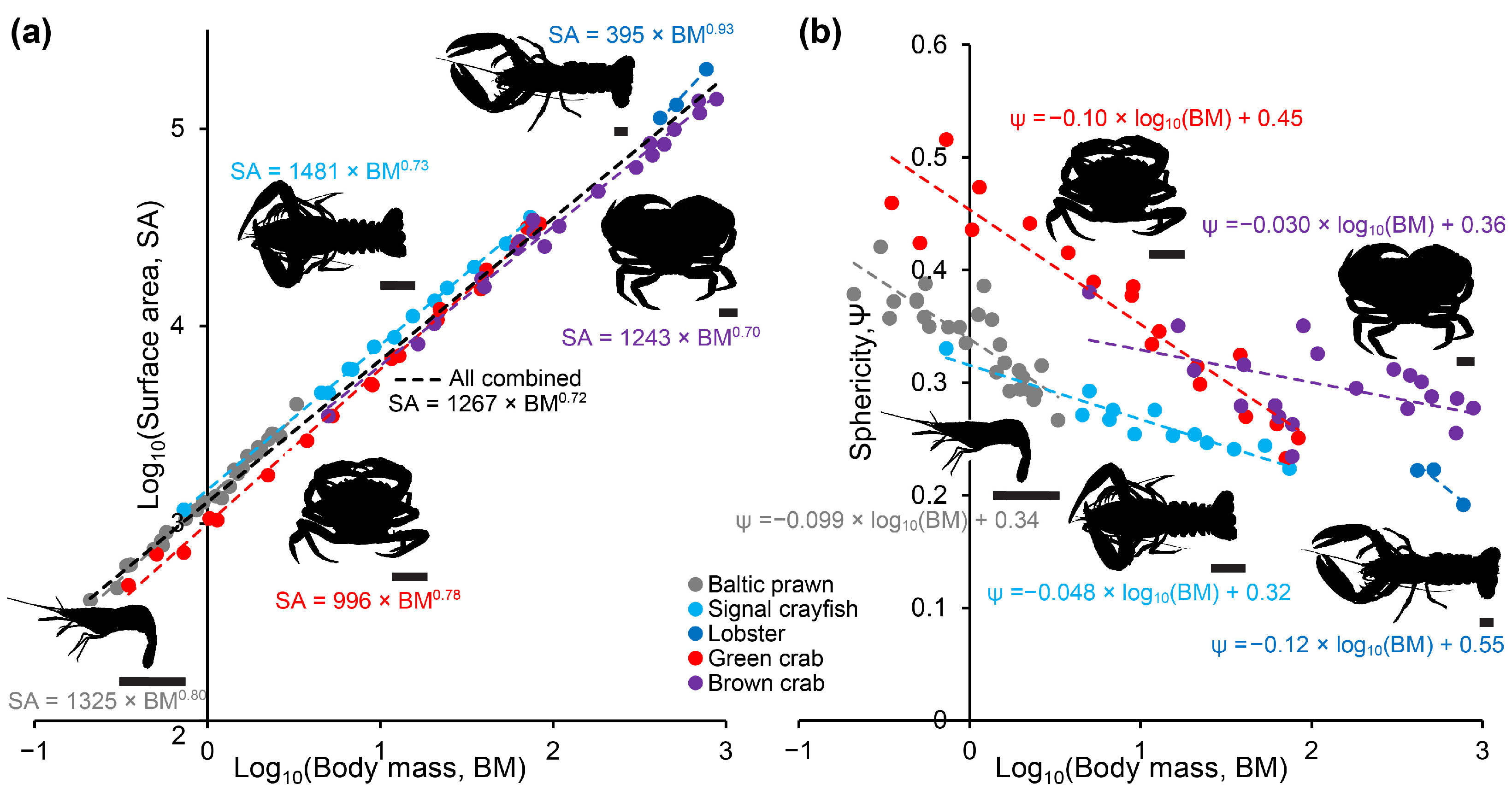 Animals 14 03277 g002