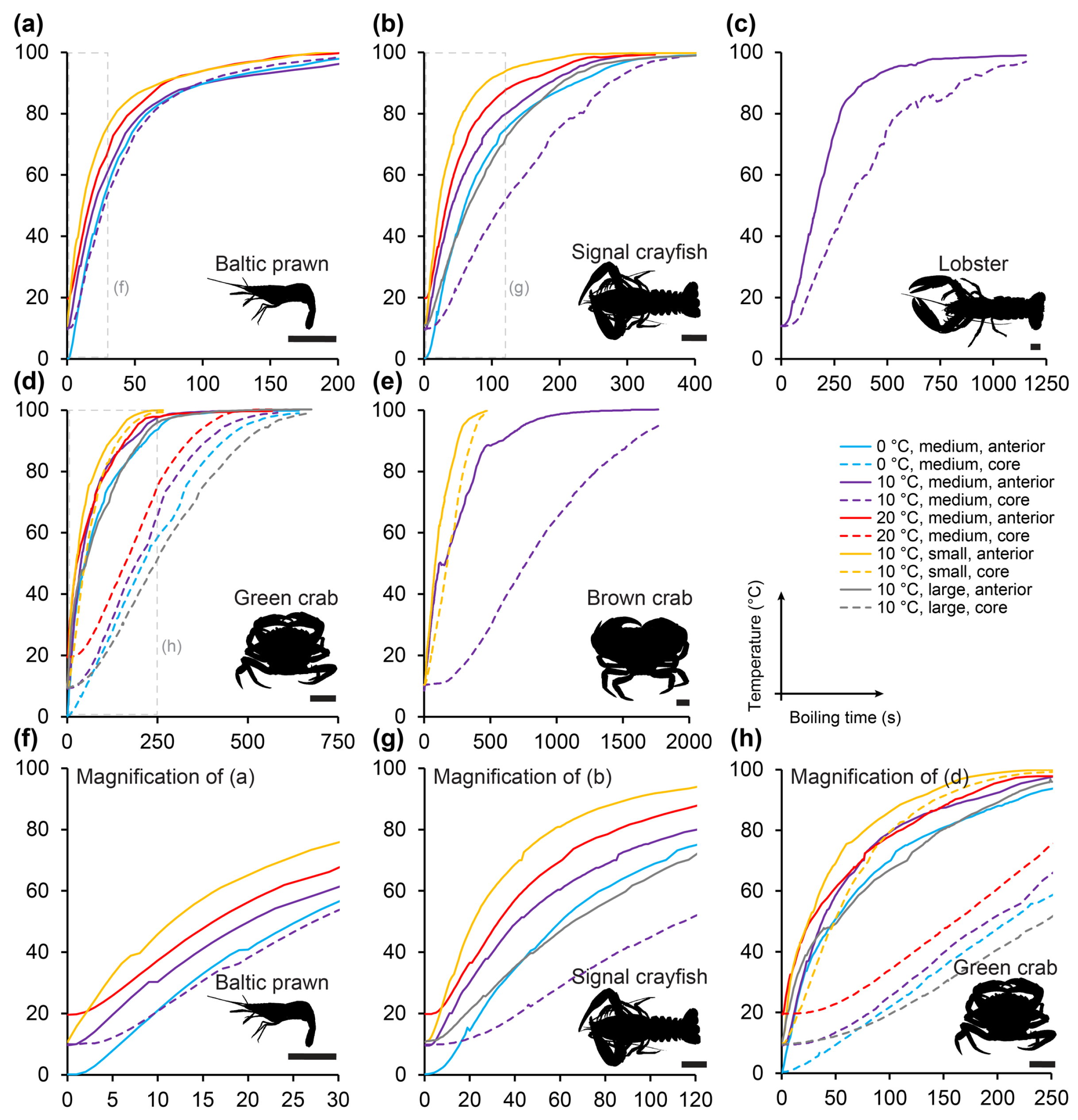 Animals 14 03277 g004