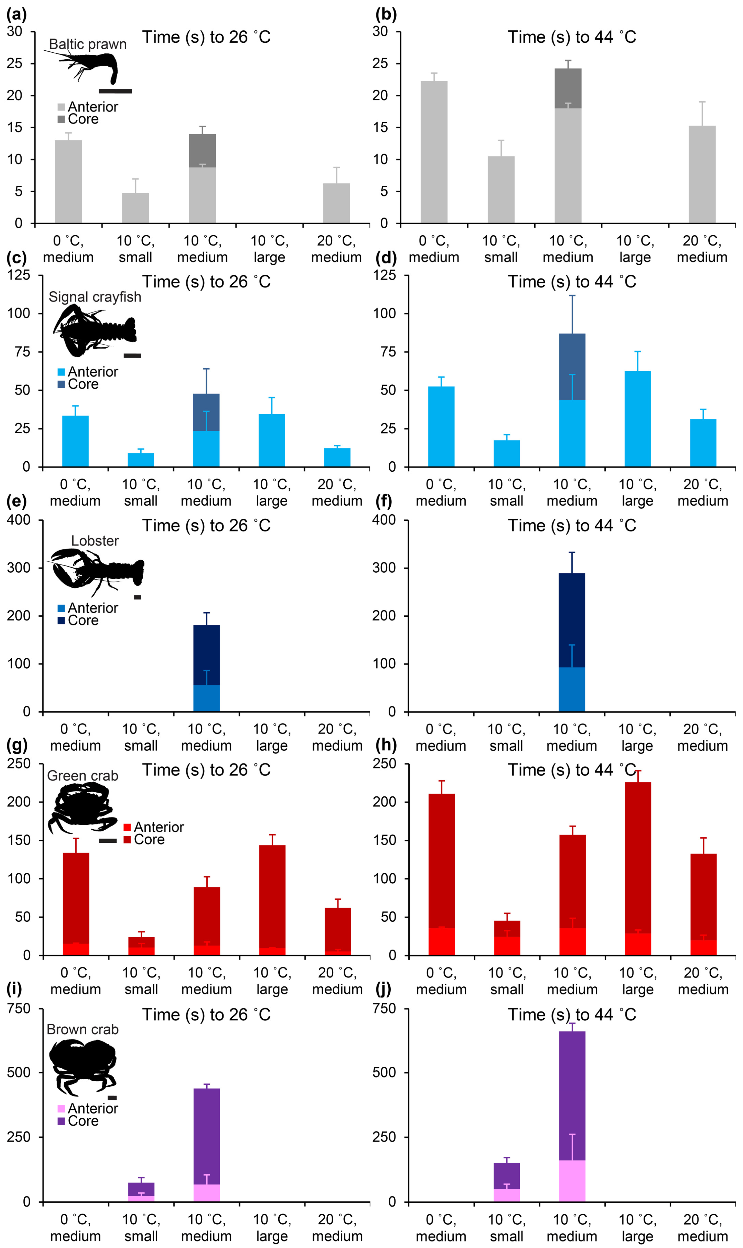 Animals 14 03277 g005