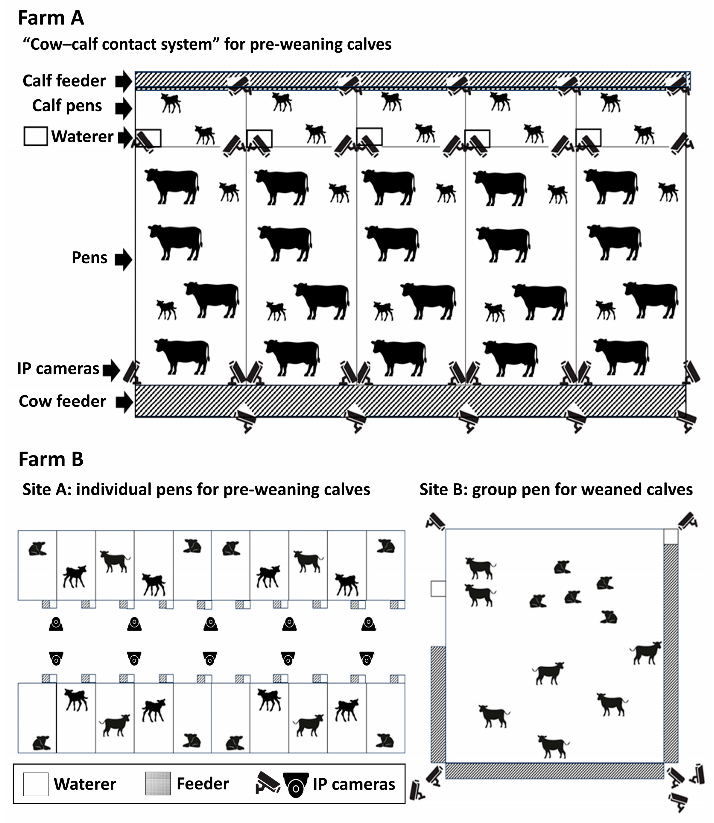 Animals 14 03278 g002