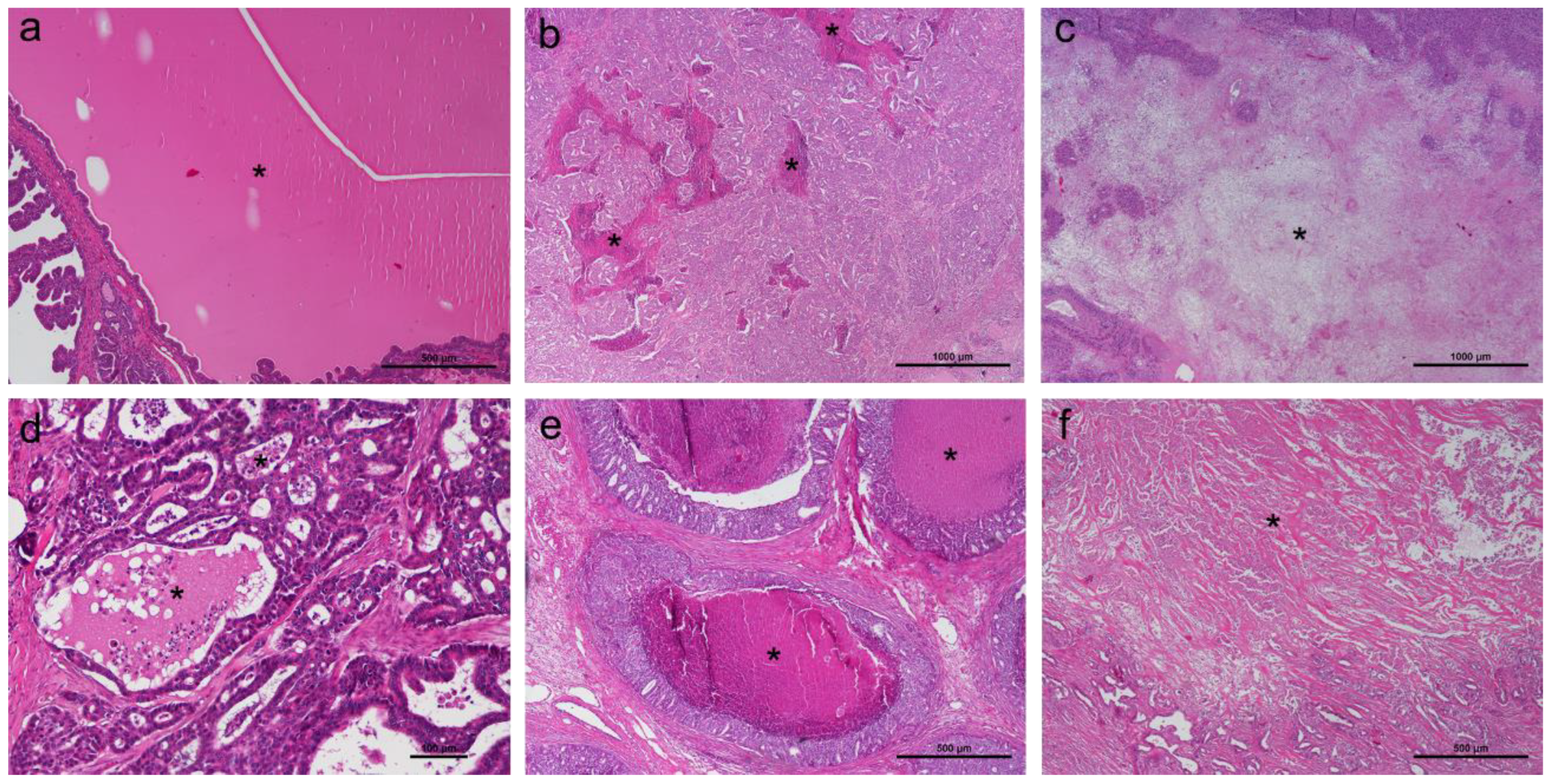 Animals 14 03280 g001