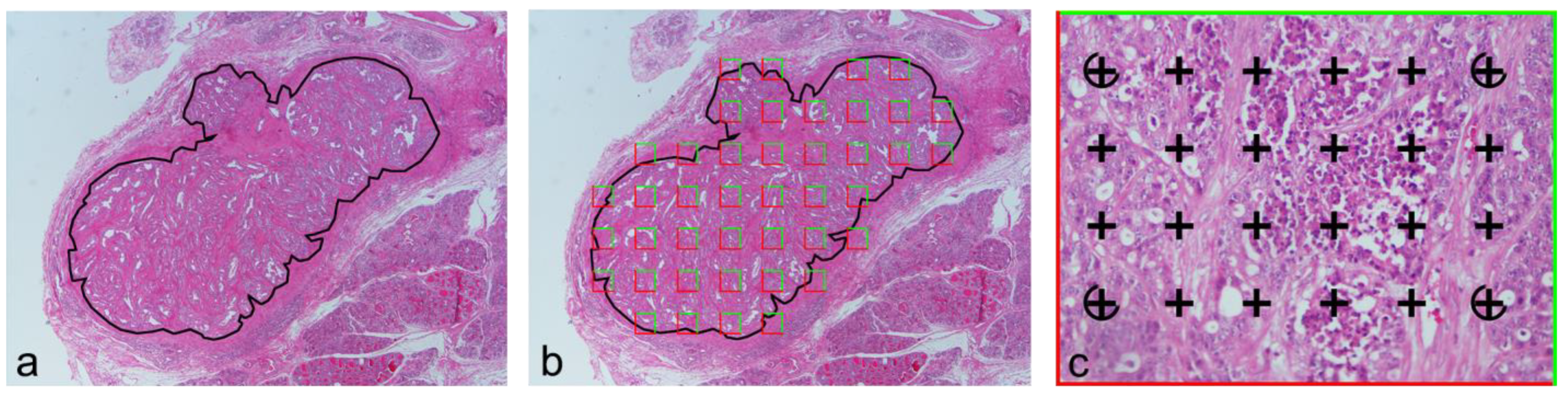 Animals 14 03280 g002