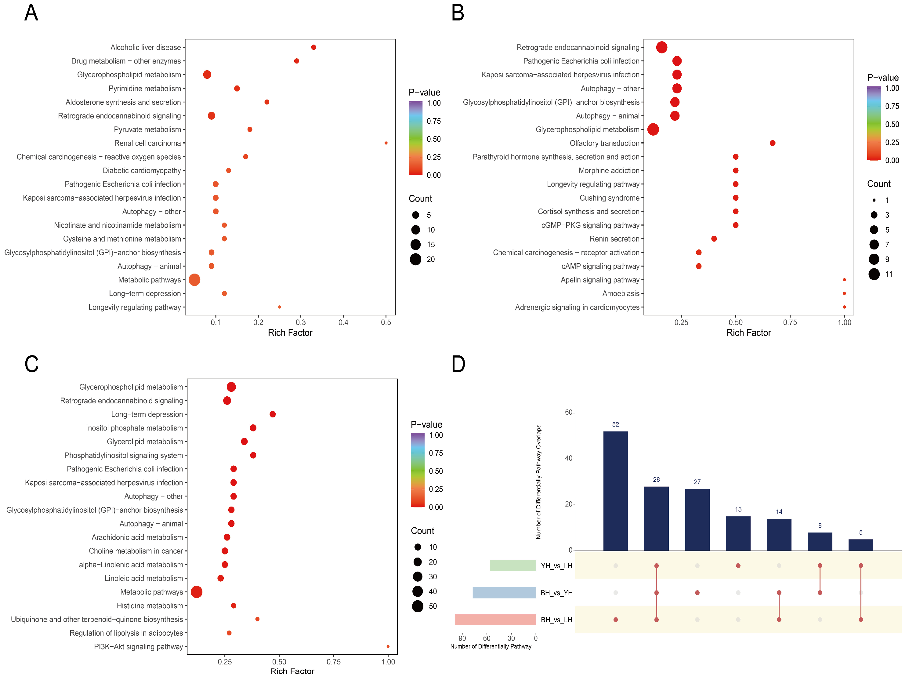 Animals 14 03282 g005