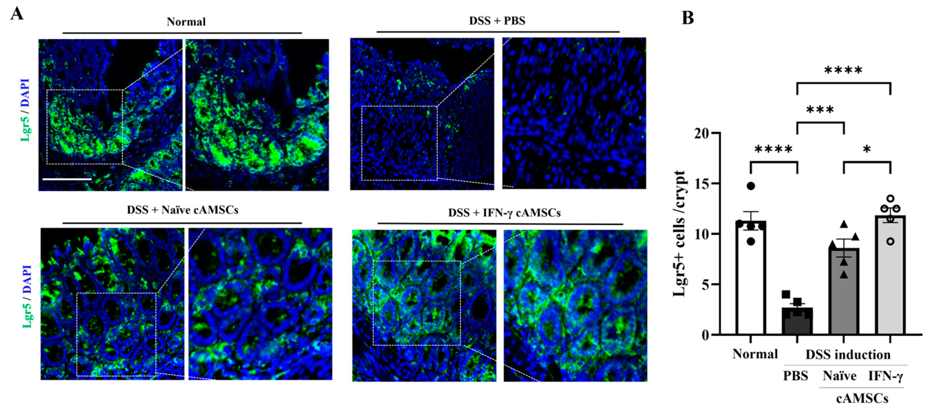 Animals 14 03283 g005