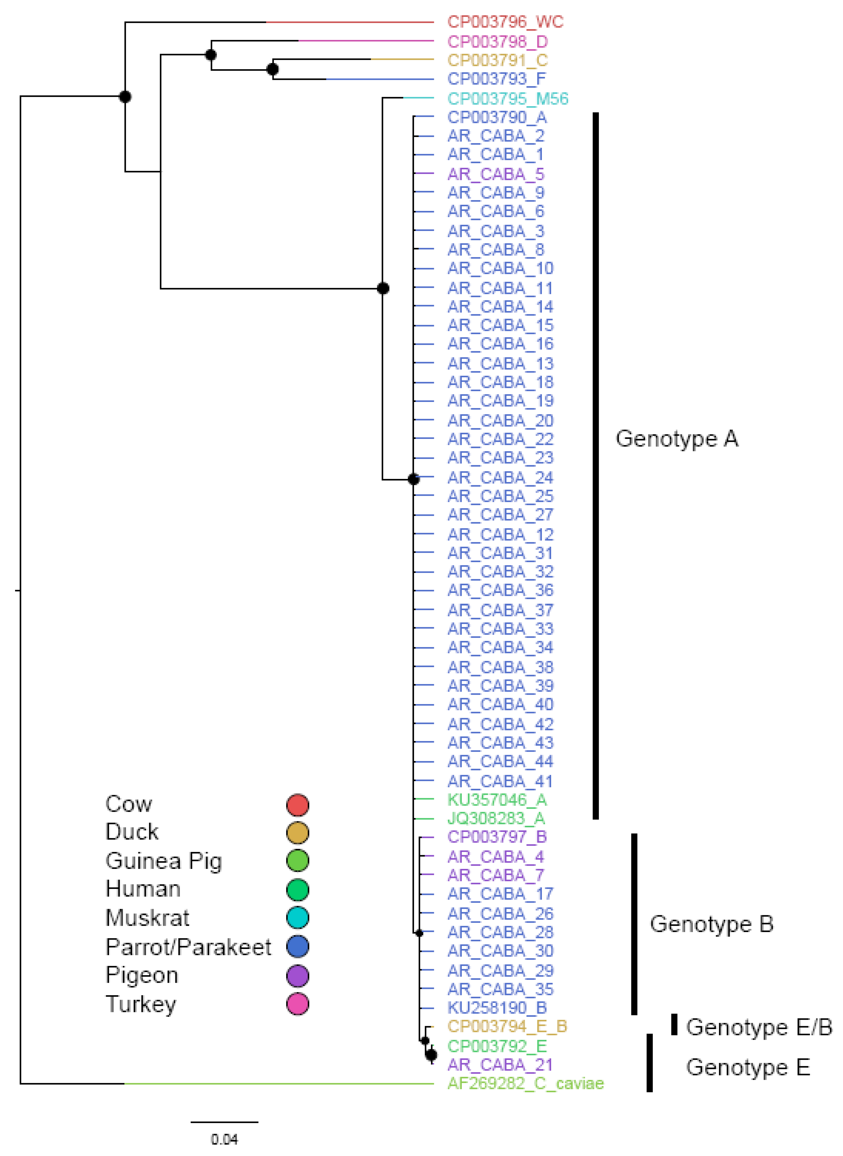 Animals 14 03286 g003 Animals 14 03286 g003
