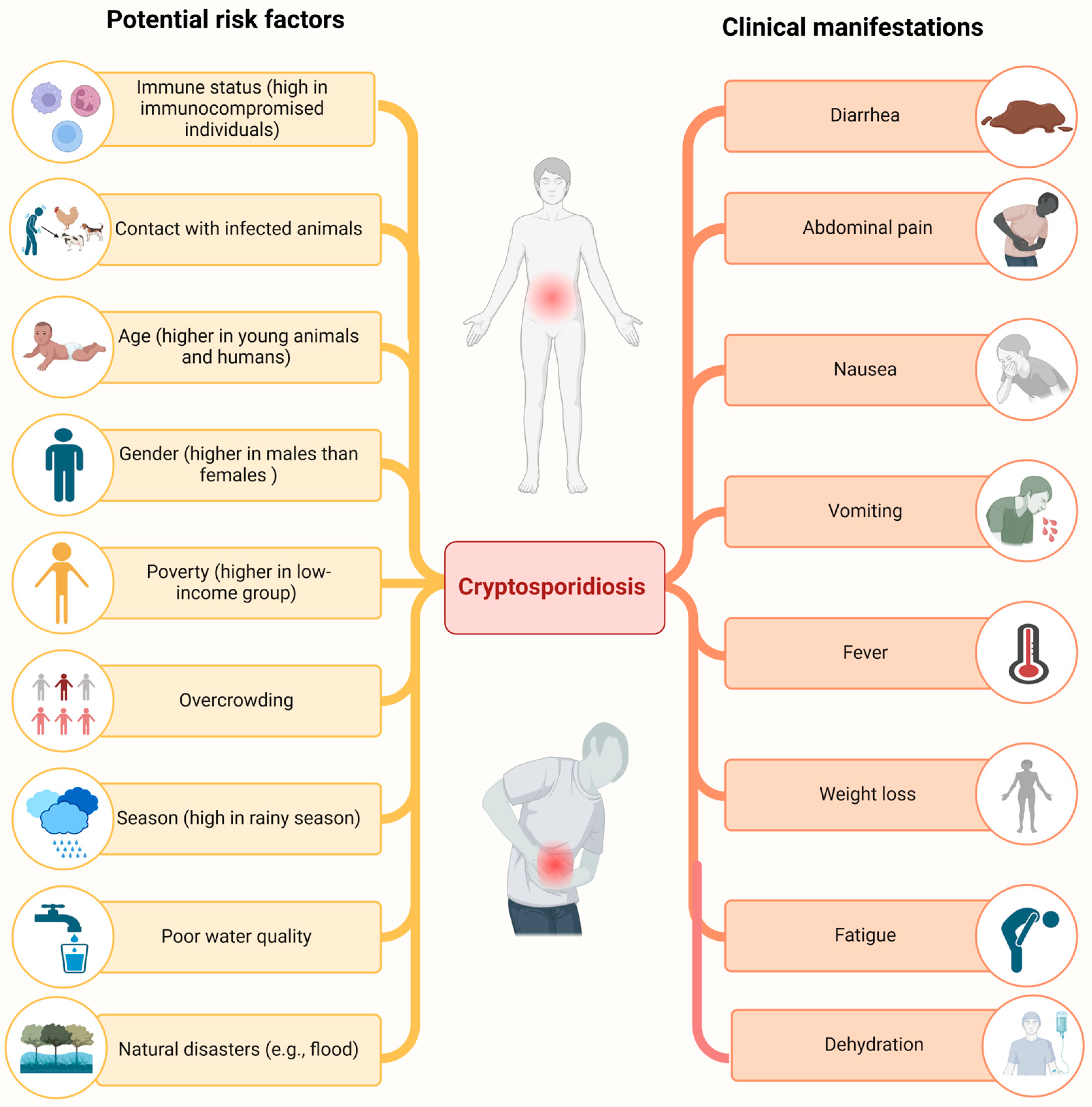 Animals 14 03287 g002