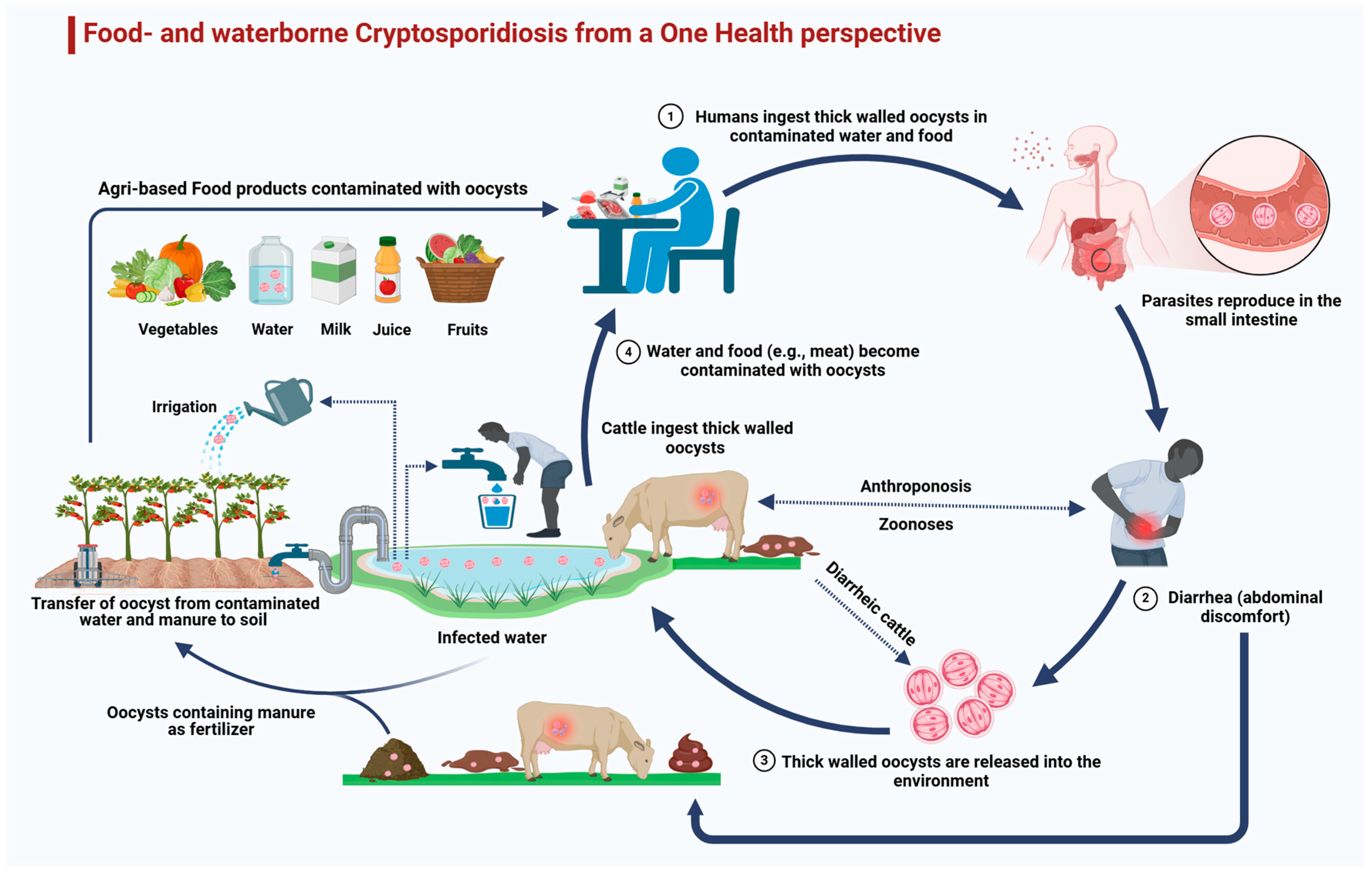 Animals 14 03287 g003