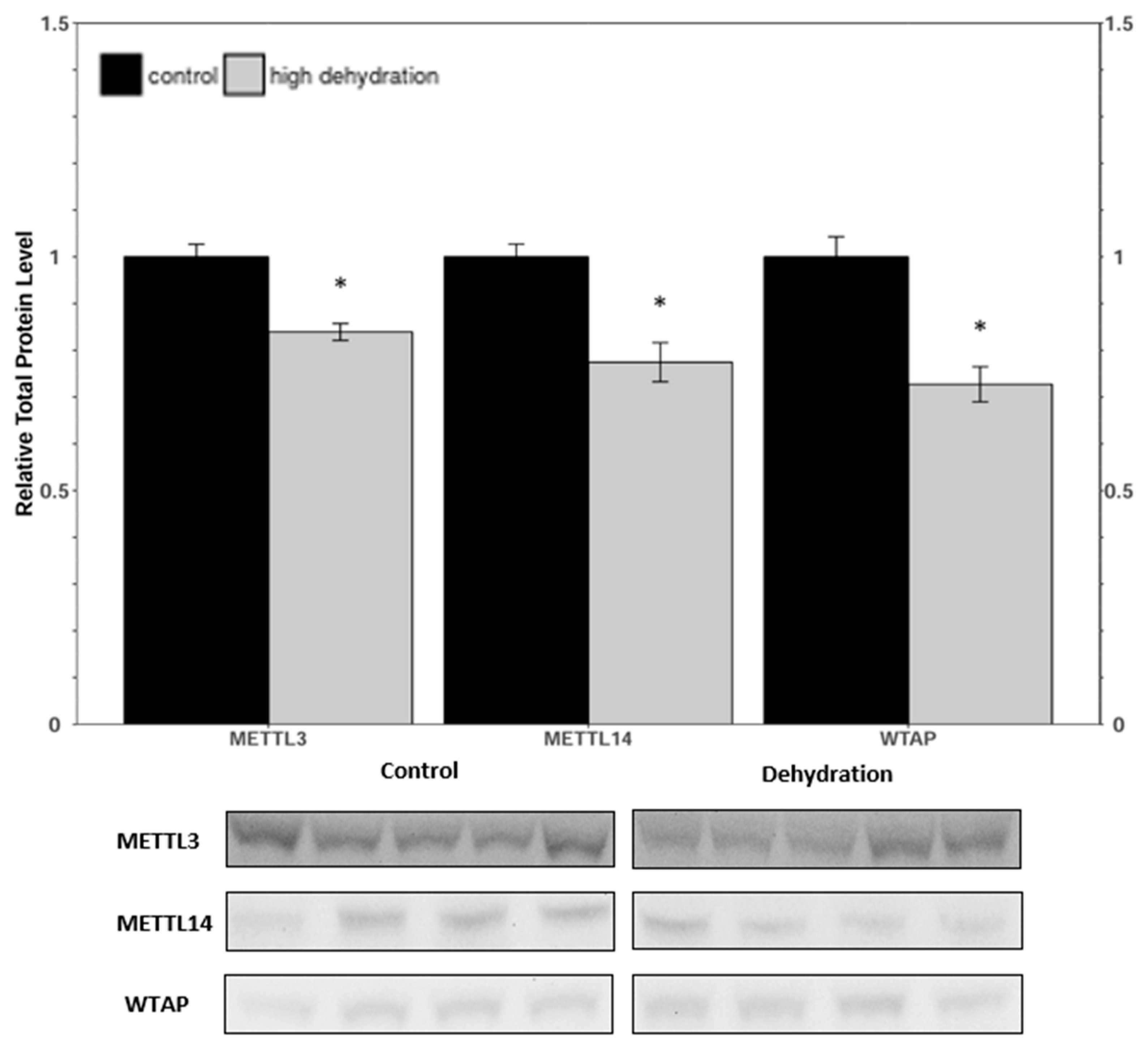 Animals 14 03288 g001