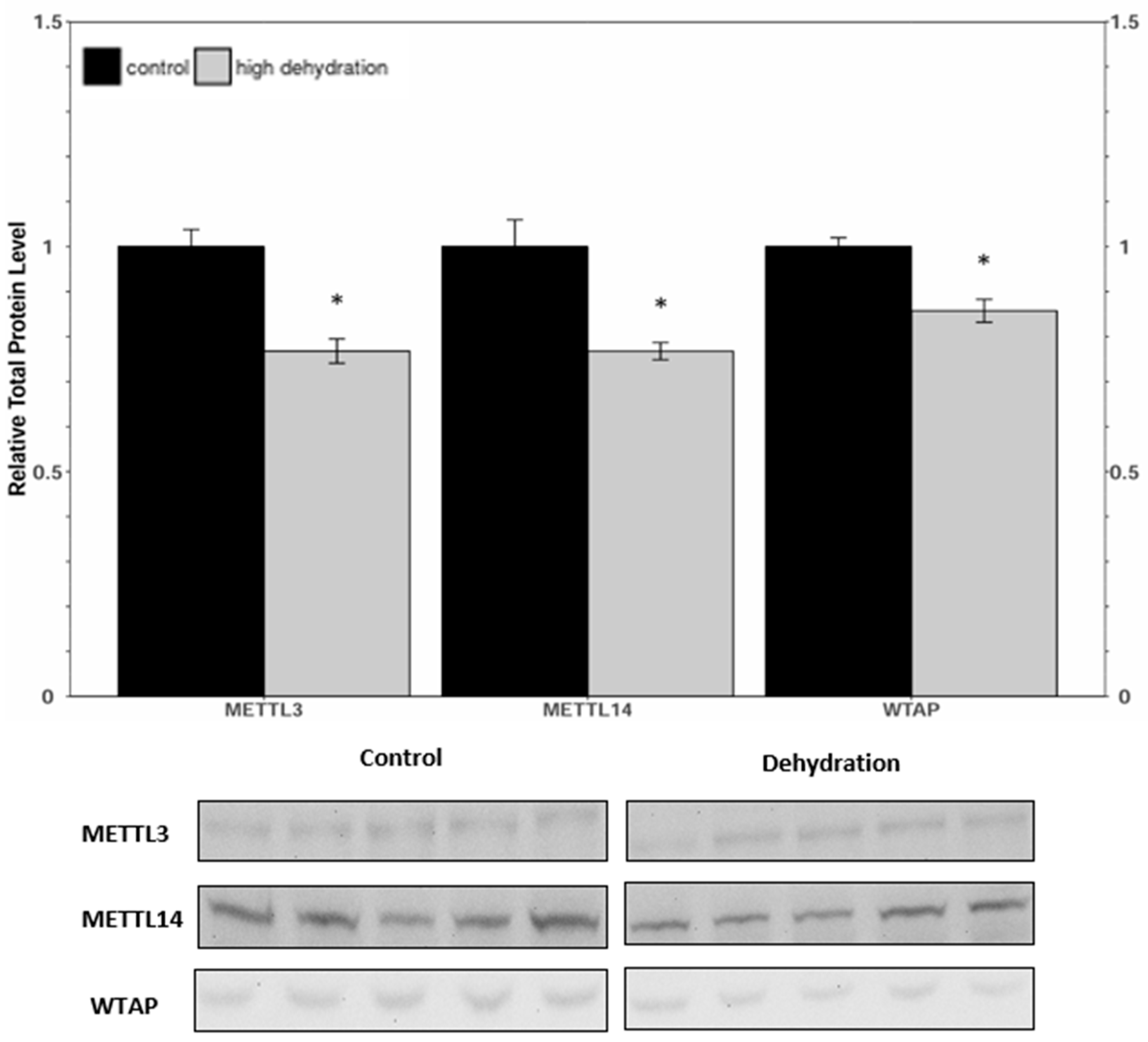 Animals 14 03288 g002
