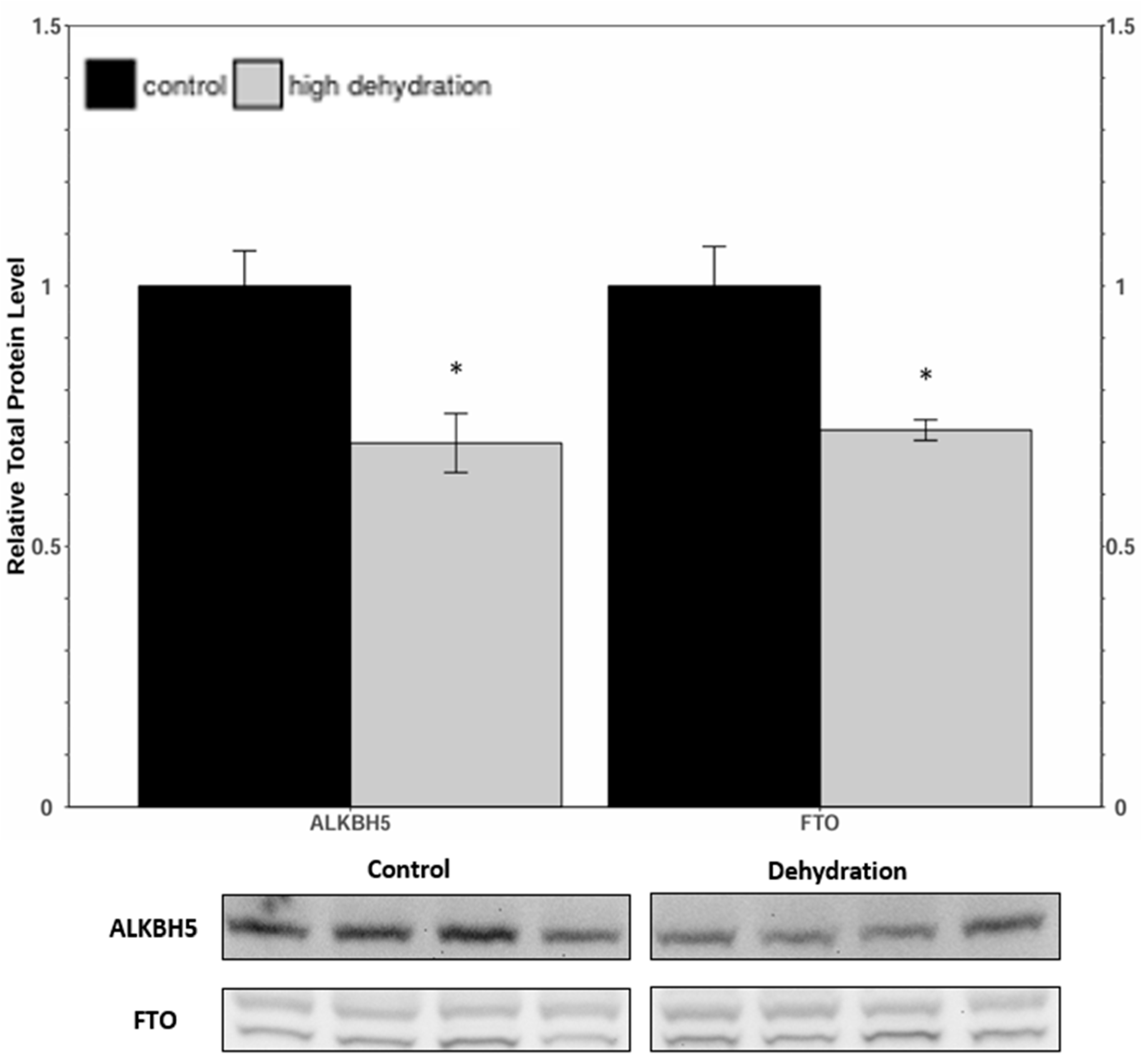 Animals 14 03288 g003