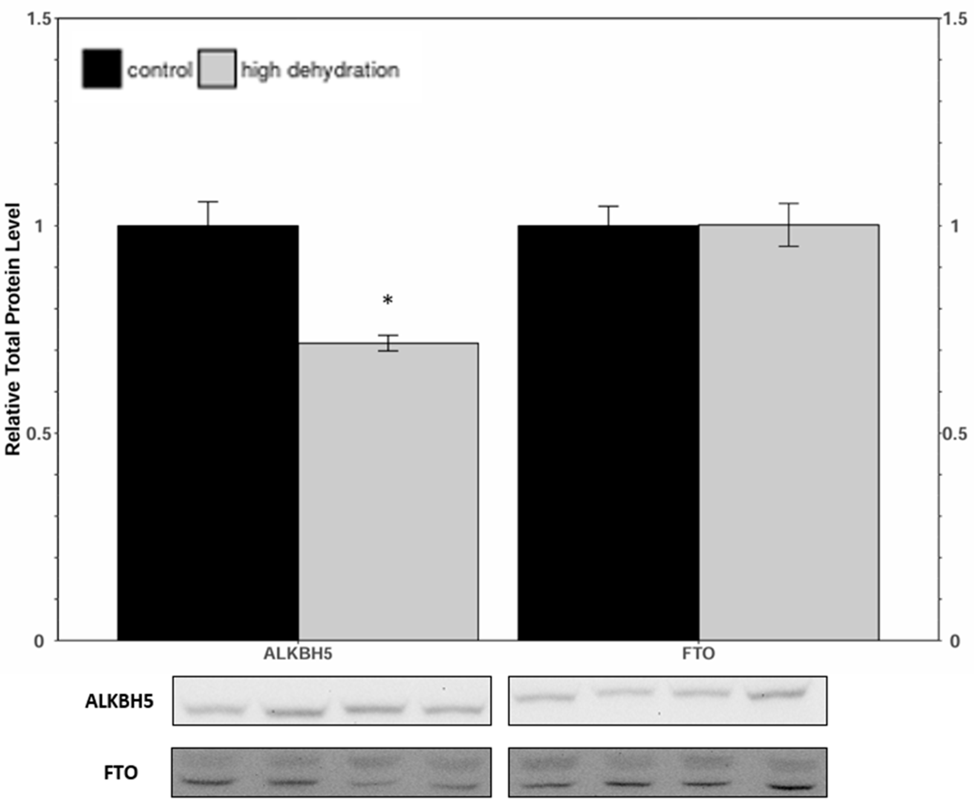 Animals 14 03288 g004