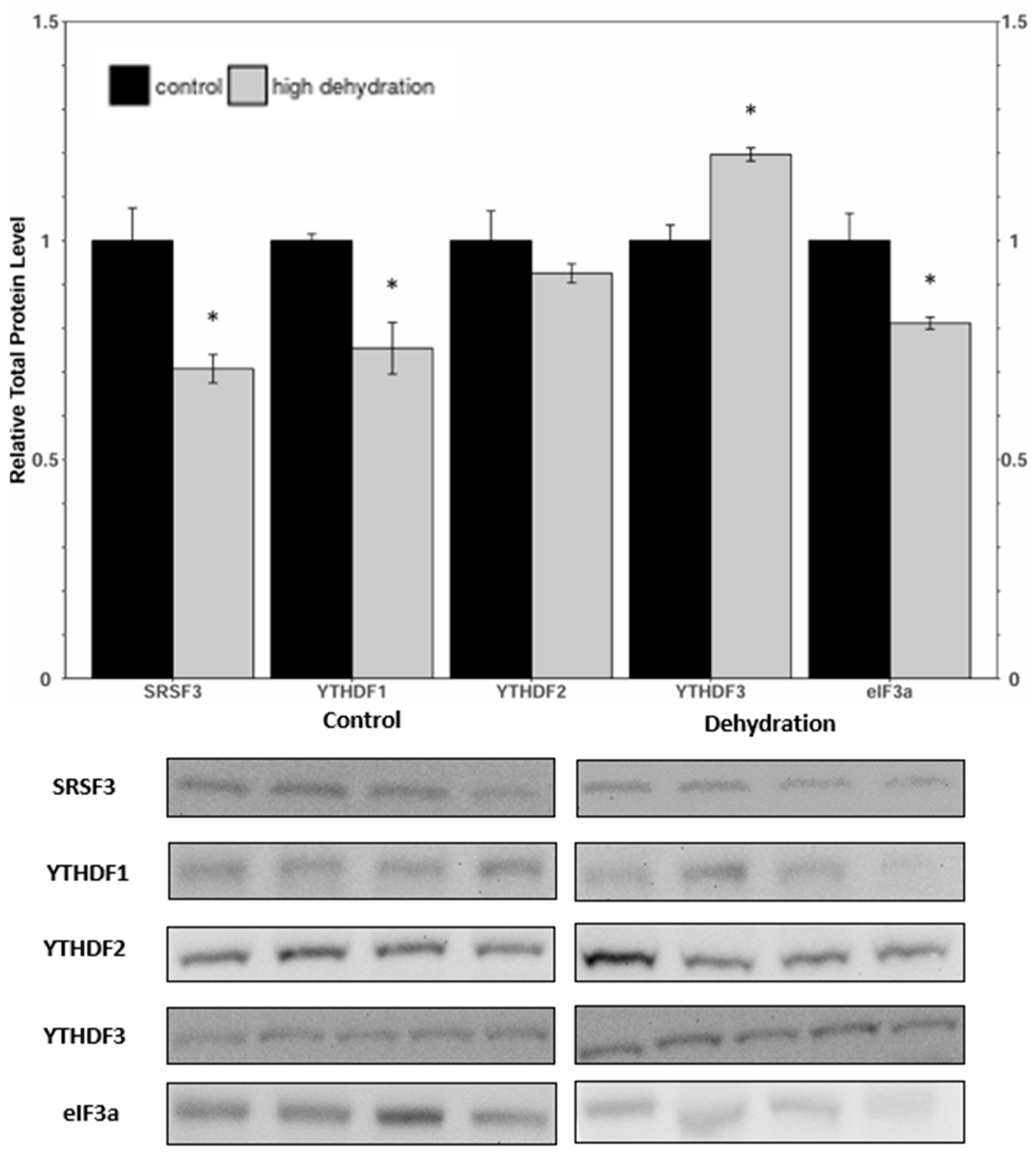 Animals 14 03288 g005