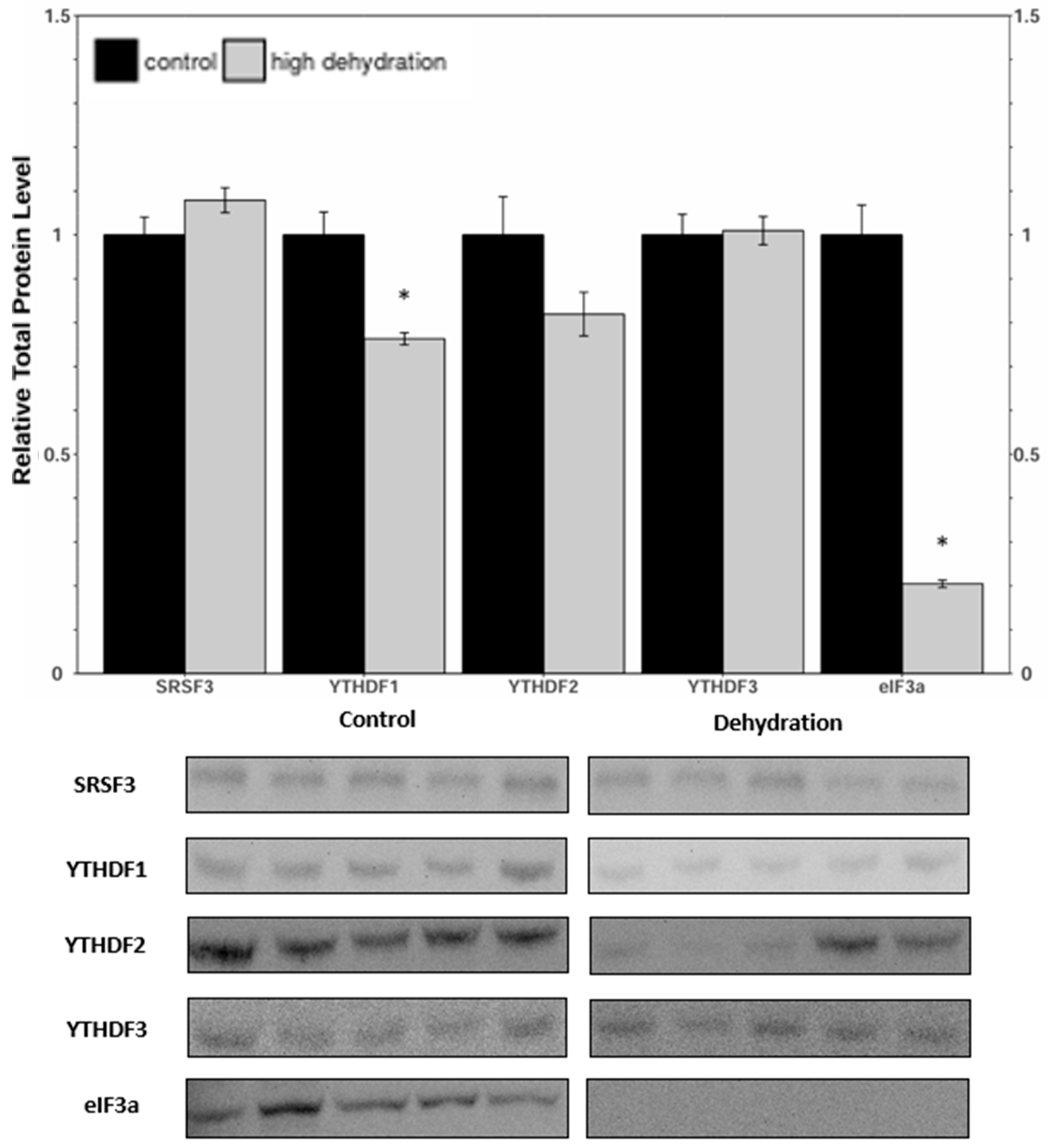 Animals 14 03288 g006