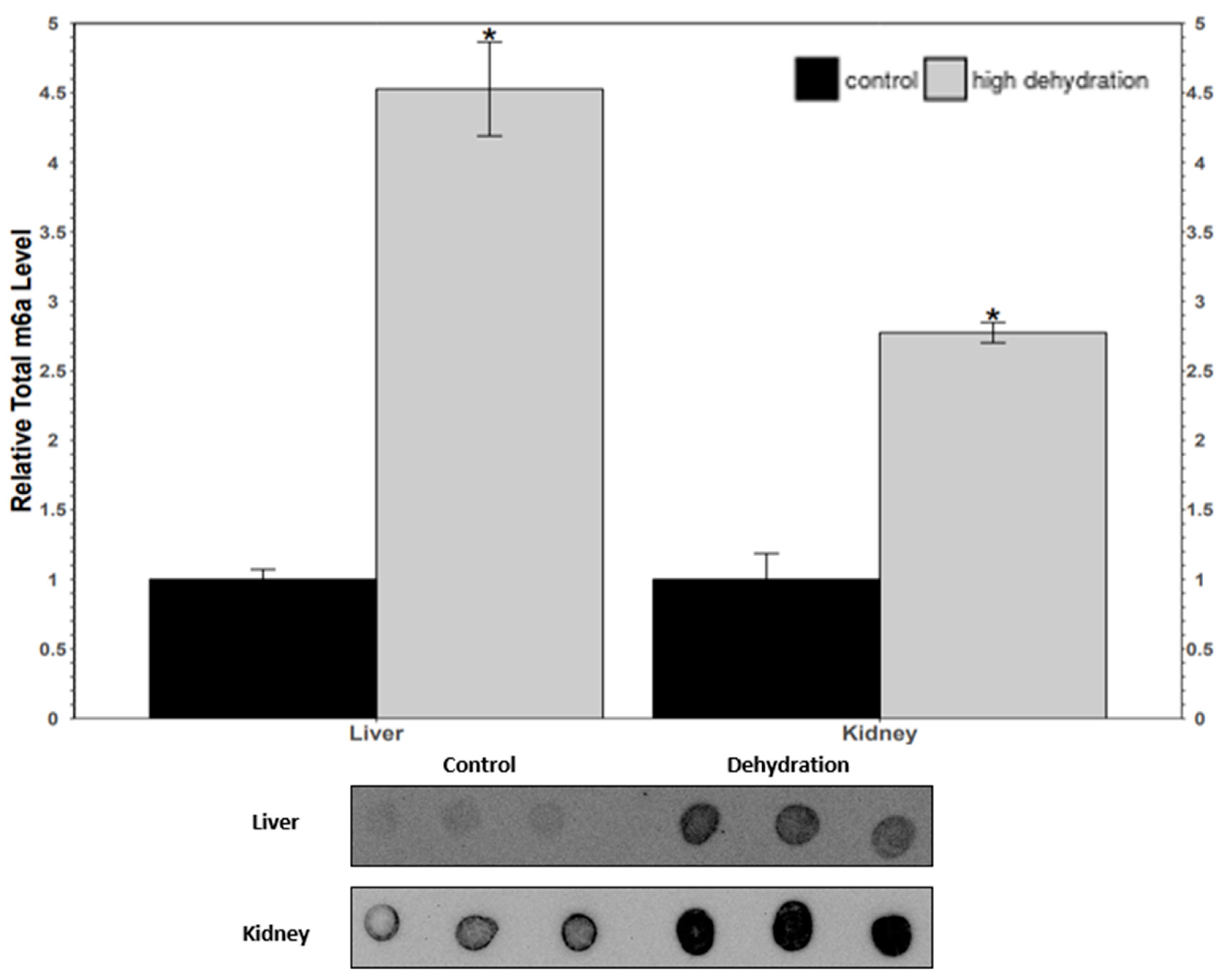 Animals 14 03288 g008
