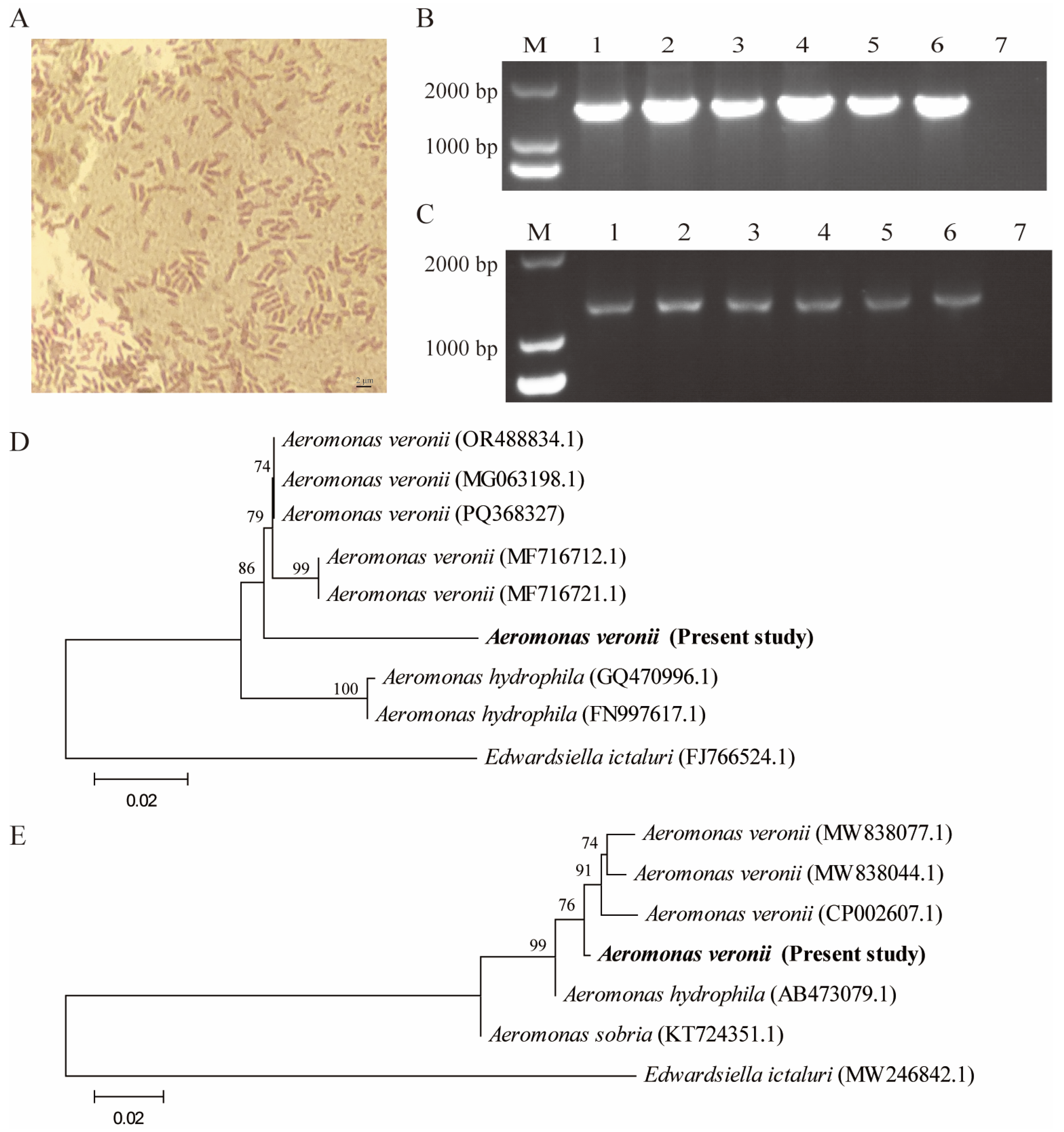 Animals 14 03289 g002