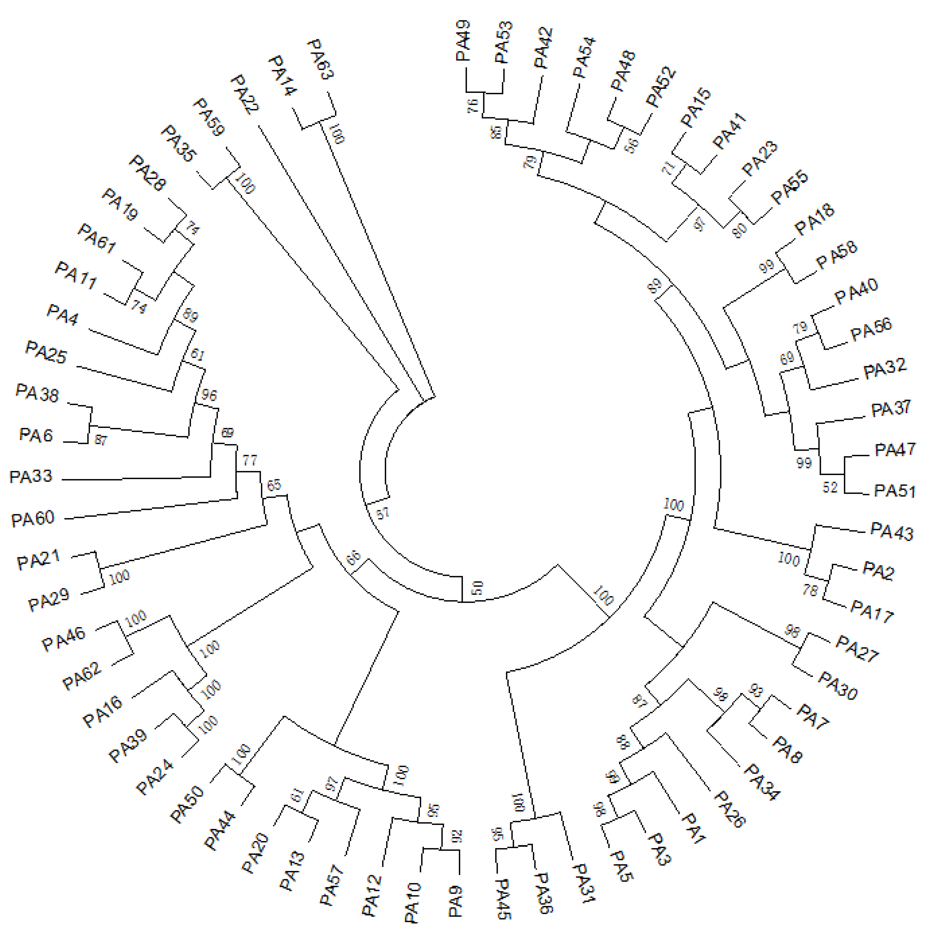 Animals 14 03290 g001