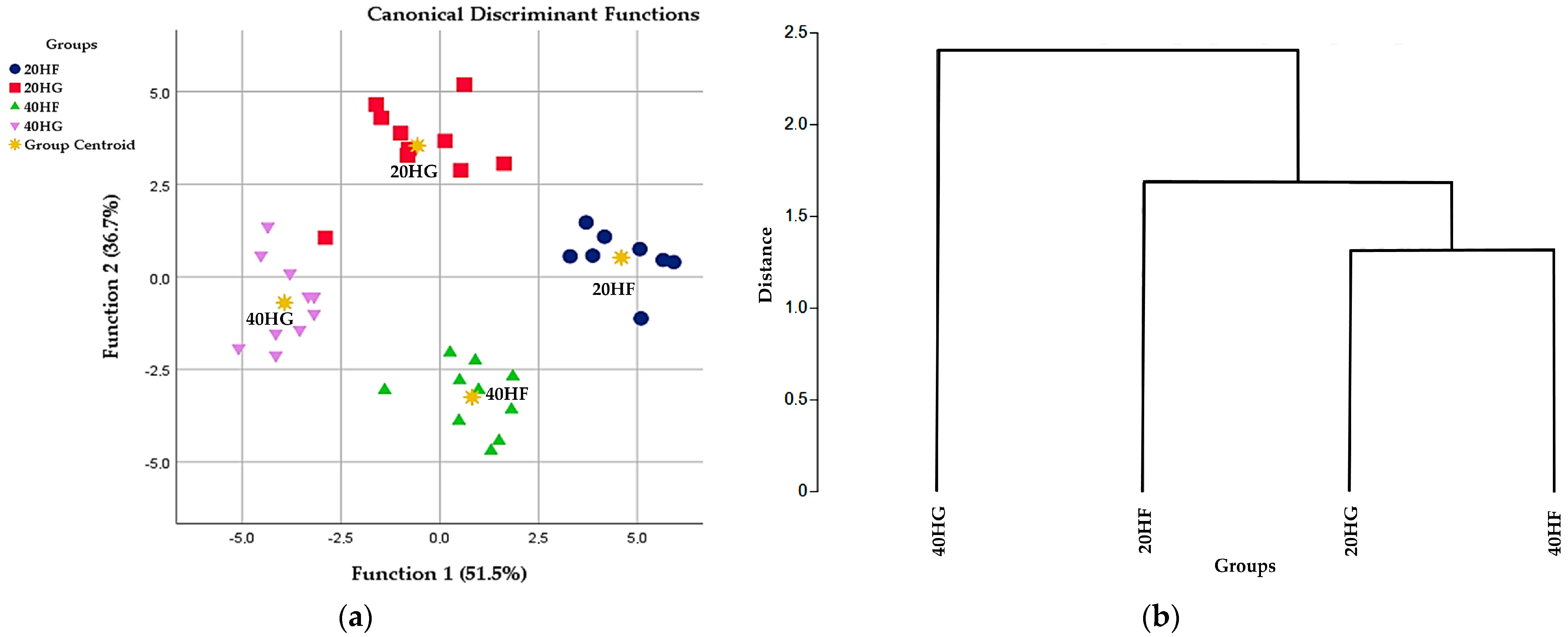 Animals 14 03291 g003