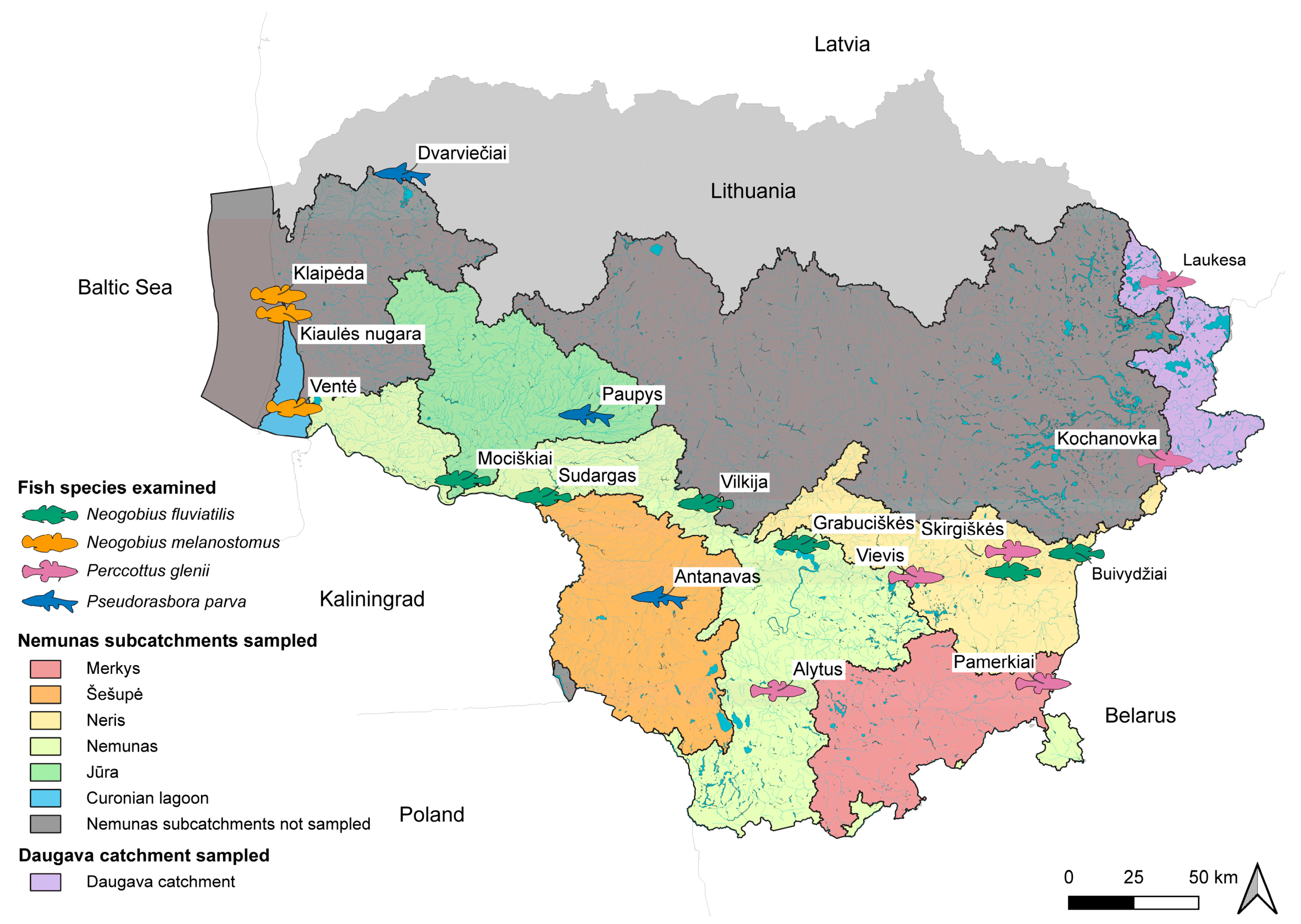 Animals 14 03293 g001