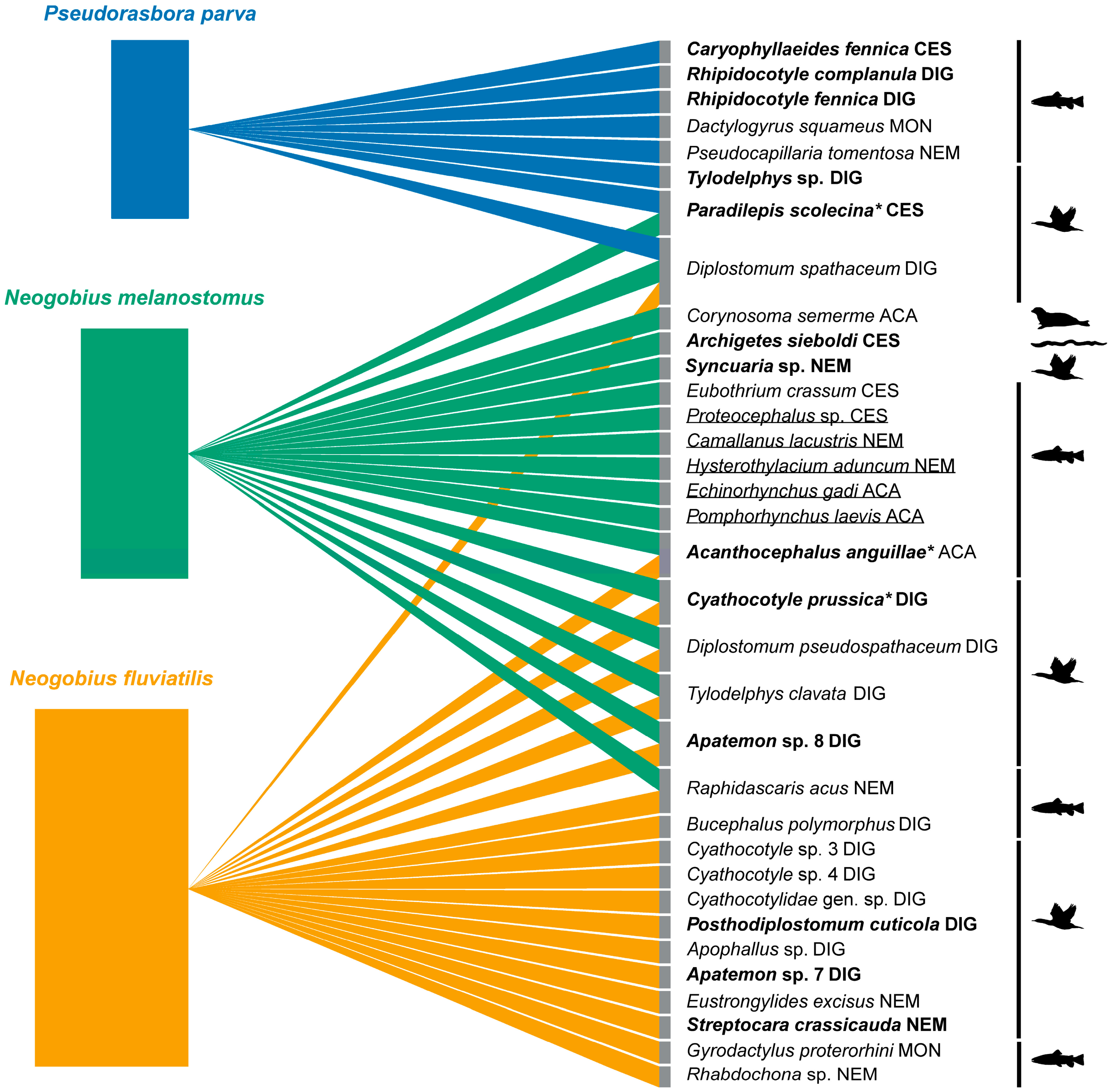 Animals 14 03293 g013