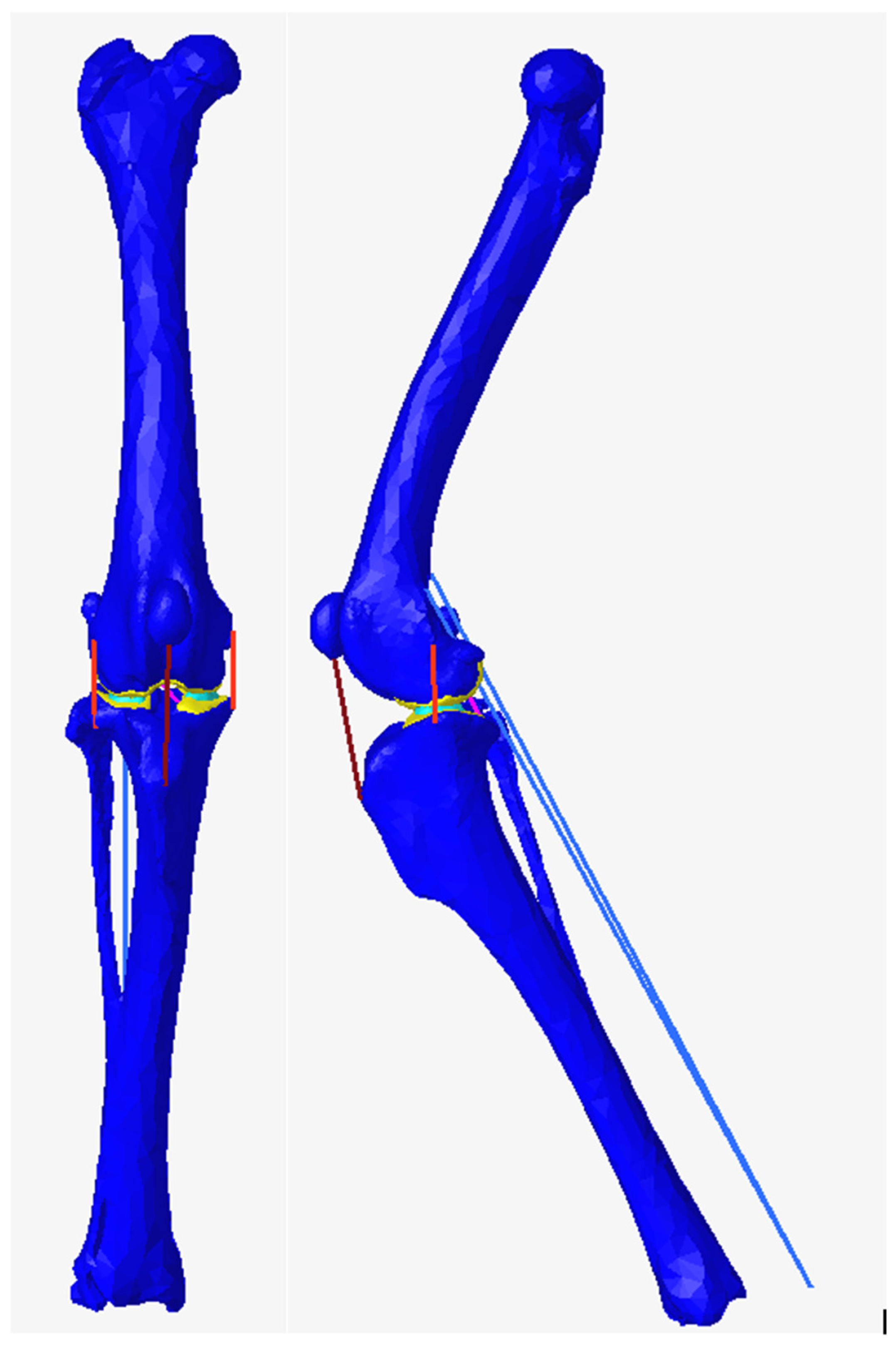 Animals 14 03296 g0a1