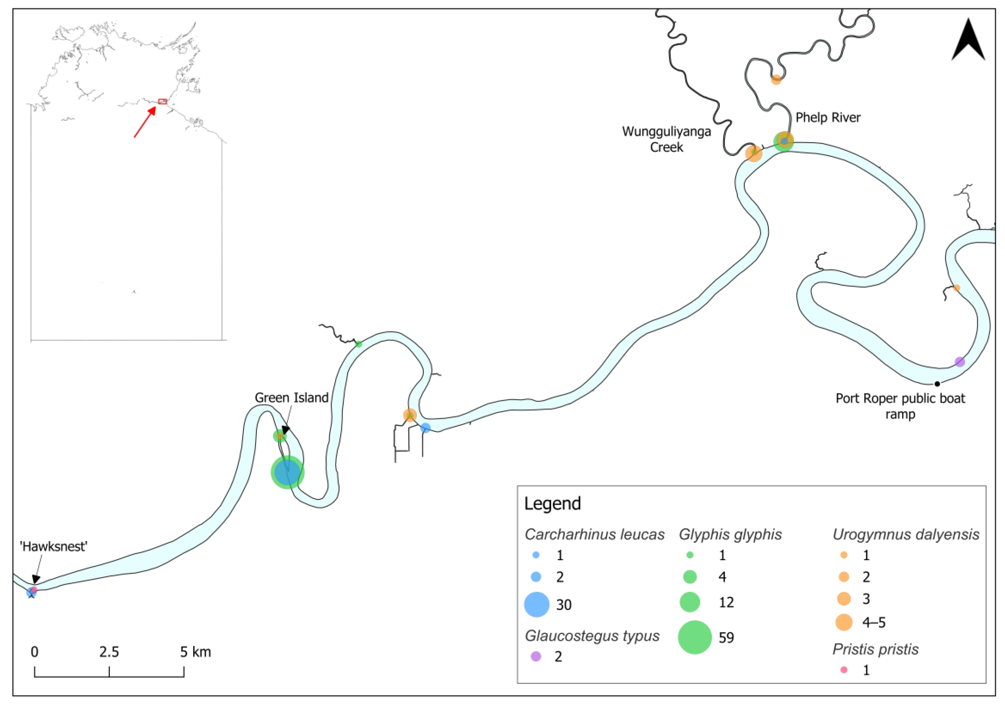 Animals 14 03306 g002