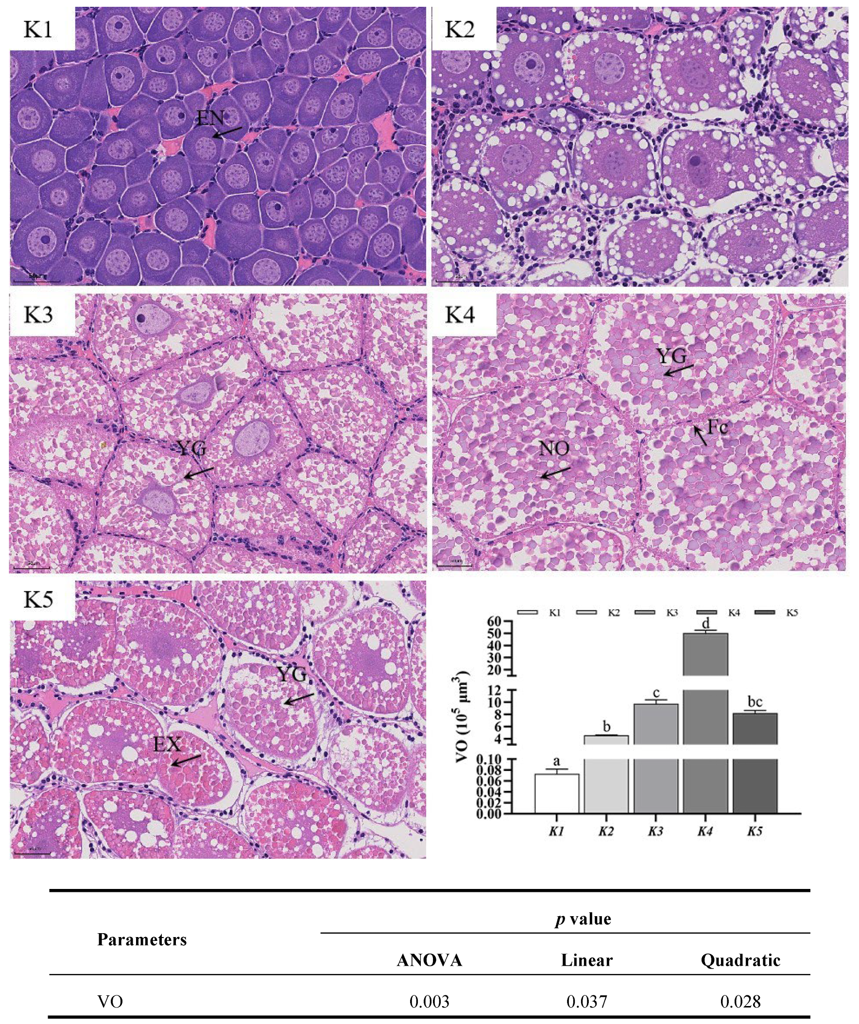 Animals 14 03313 g002