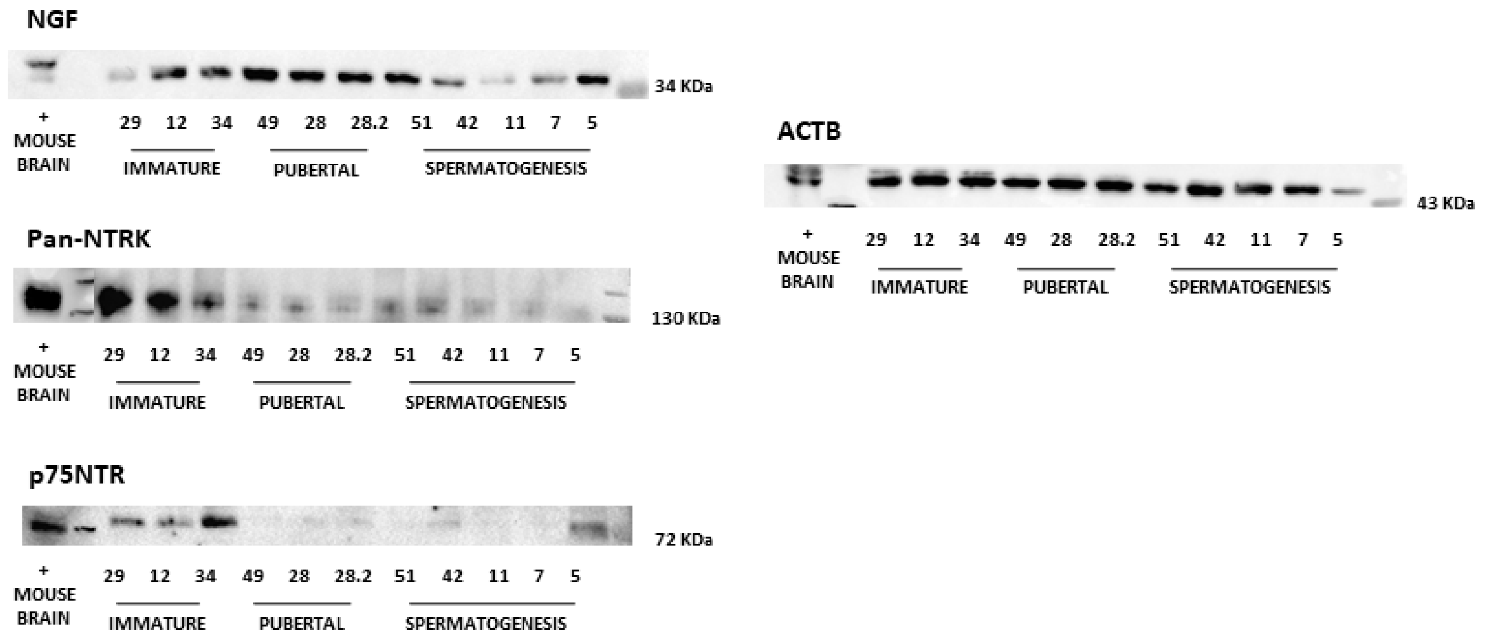 Animals 14 03318 g003 Animals 14 03318 g003