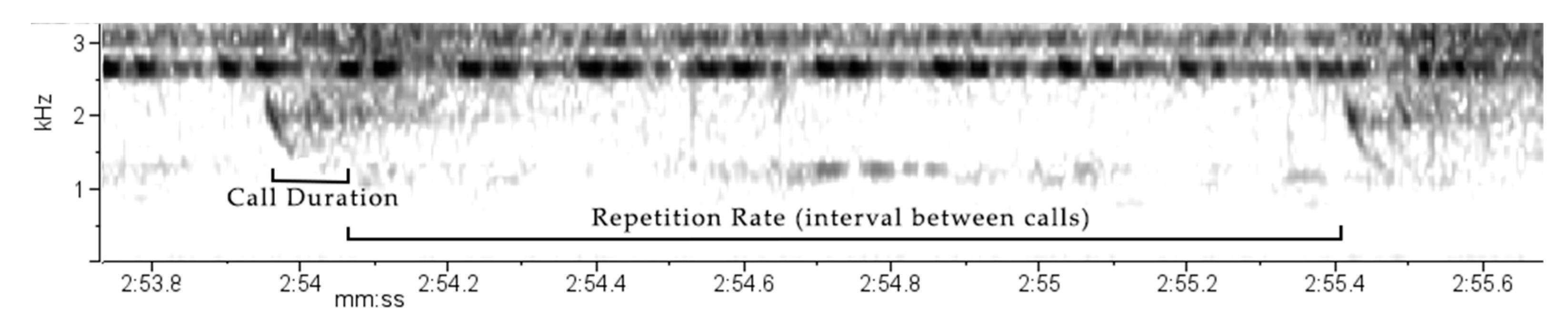 Animals 14 03323 g007