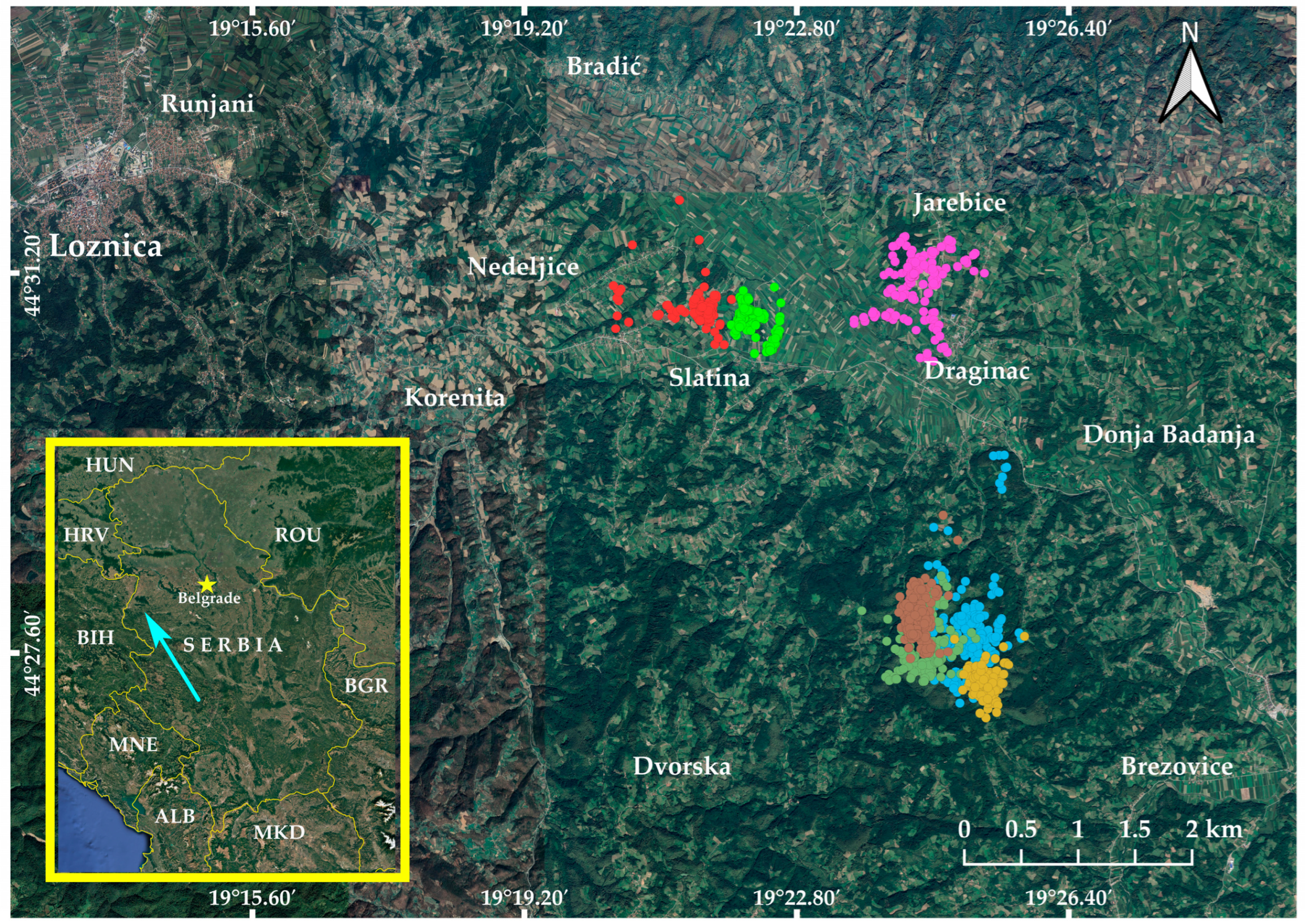 Animals 14 03338 g001 Animals 14 03338 g001