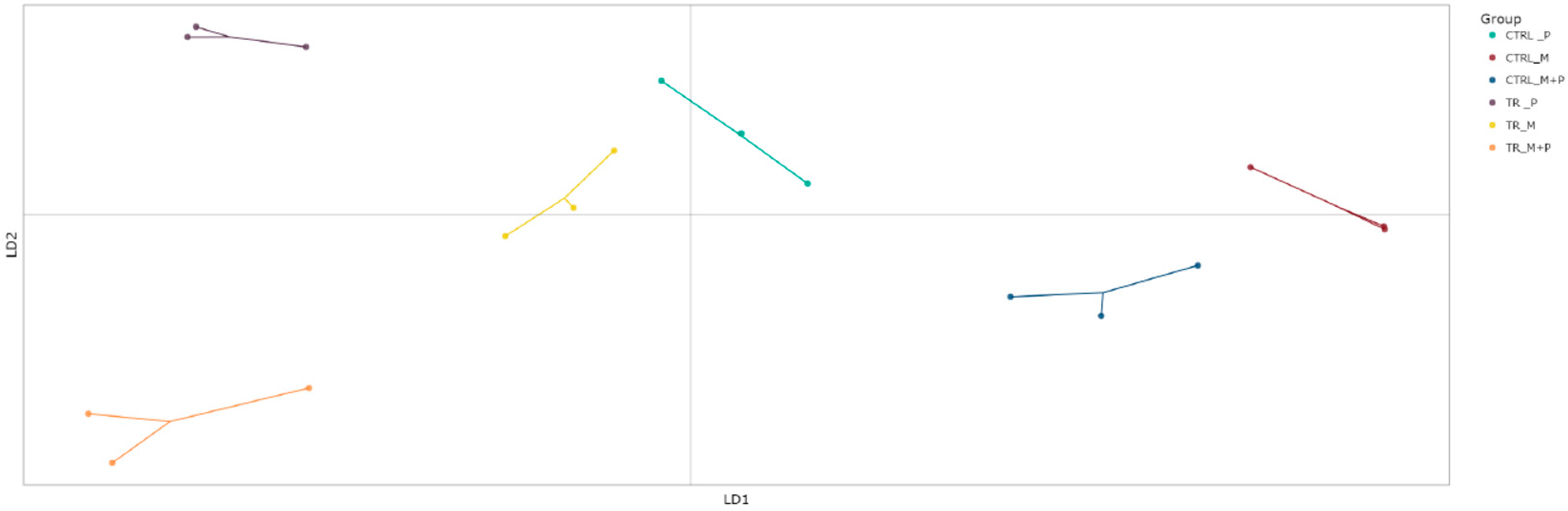 Animals 14 03342 g008