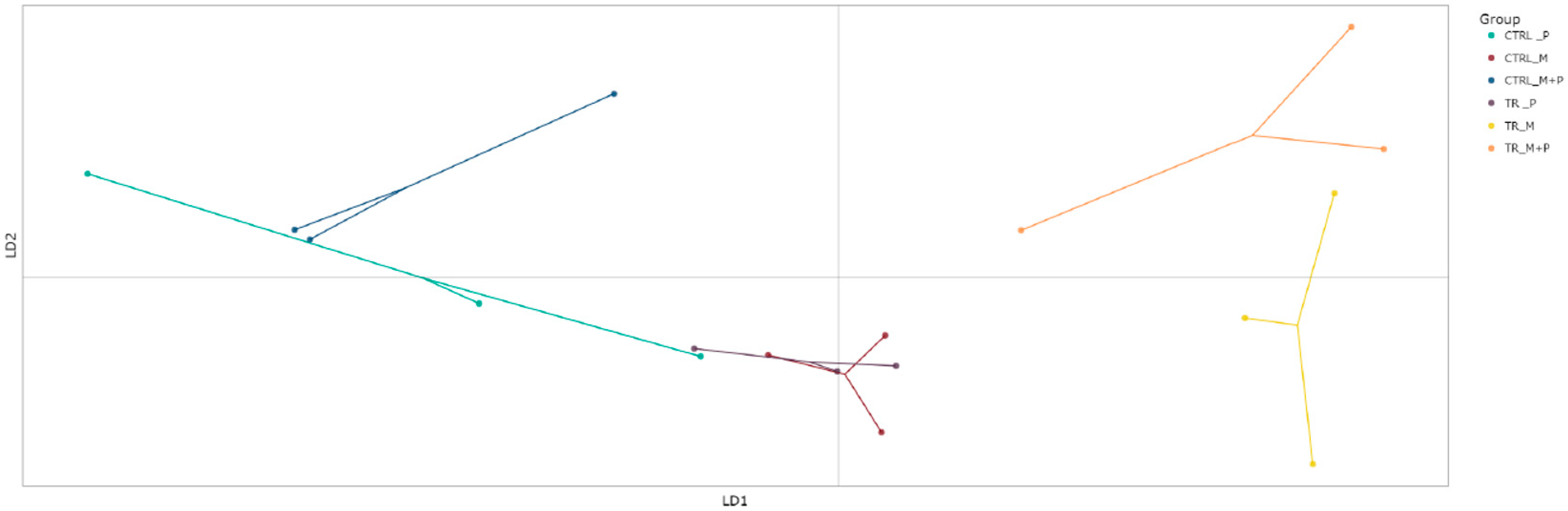 Animals 14 03342 g010