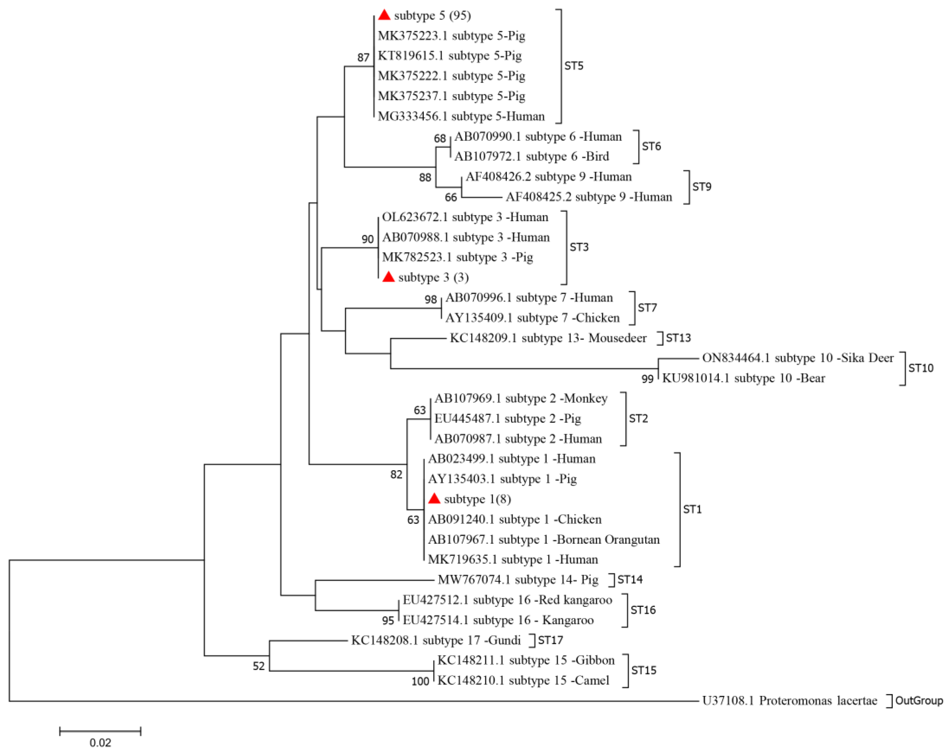 Animals 14 03344 g002