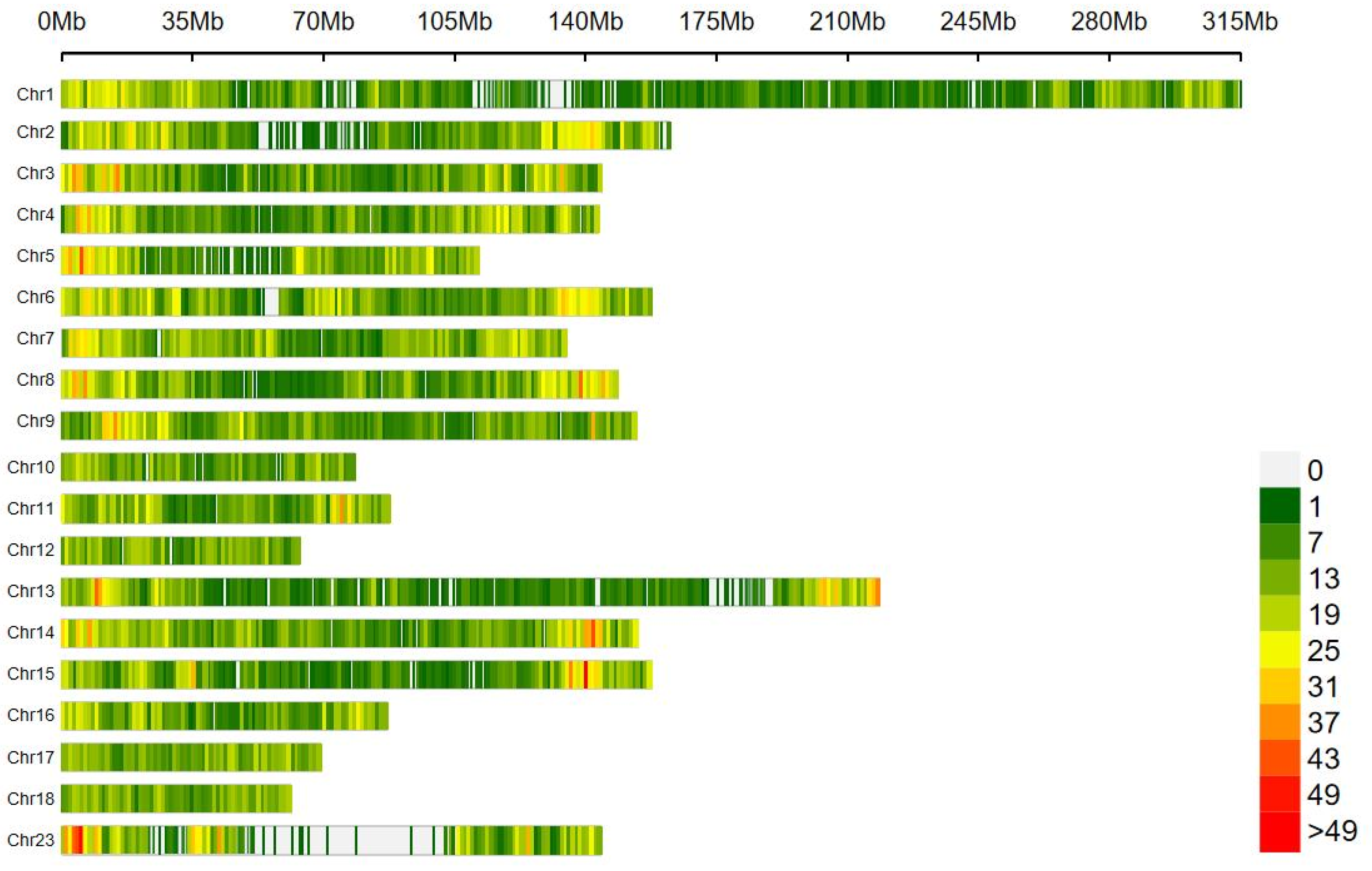 Animals 14 03348 g002