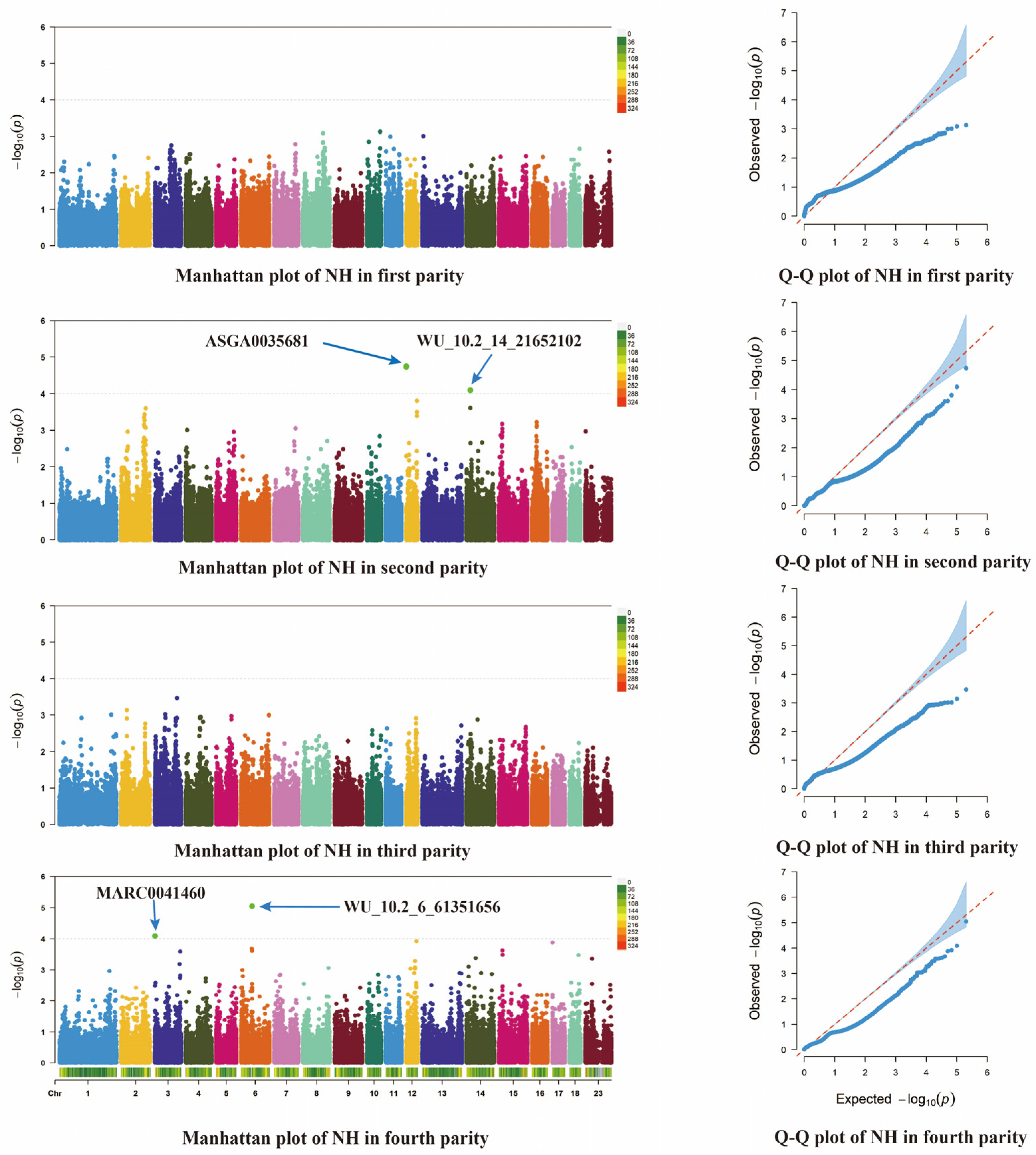 Animals 14 03348 g004